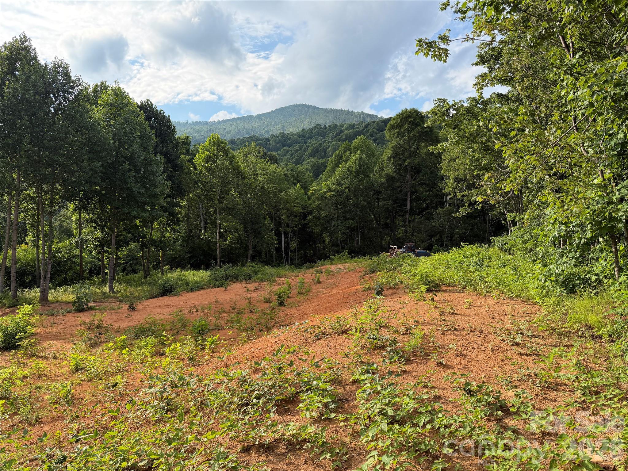 Acreage at 99999 Tipton Lane, Bakersville, photo 4 of 29