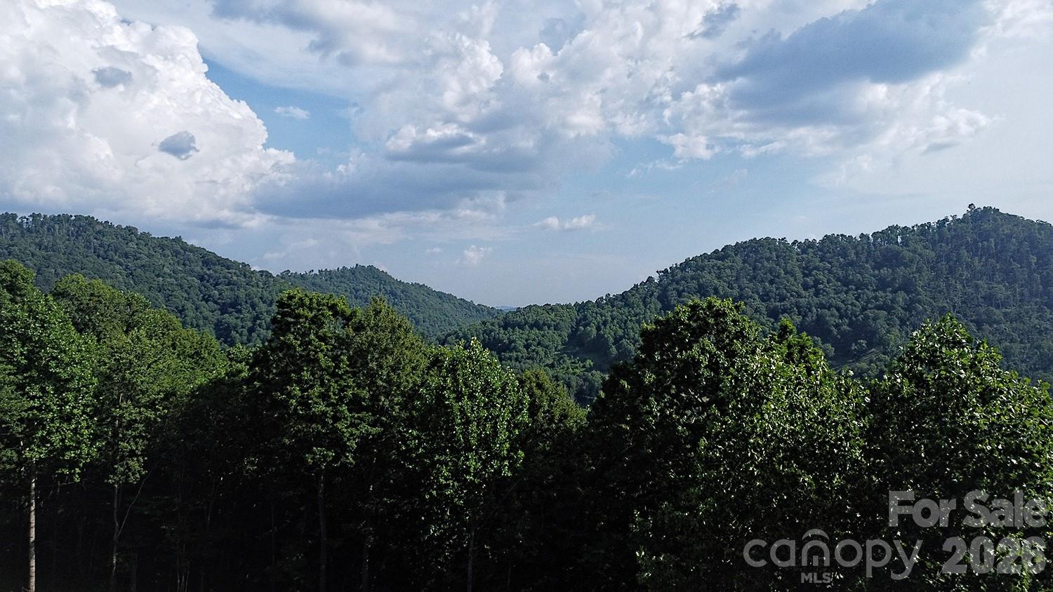 Acreage at 99999 Tipton Lane, Bakersville, photo 5 of 29