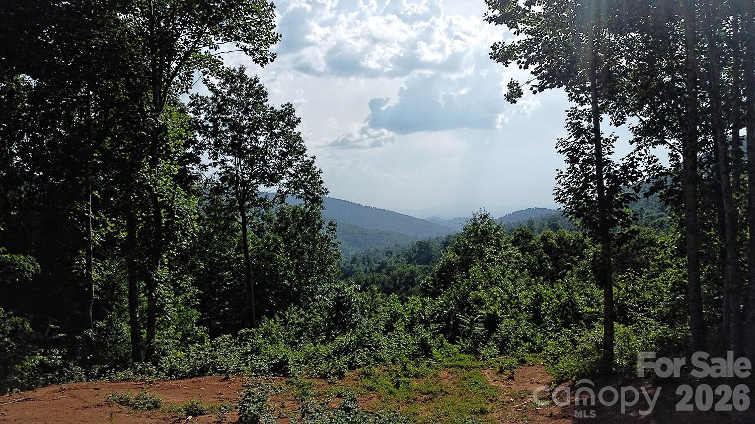 Acreage at 99999 Tipton Lane, Bakersville, photo 7 of 29