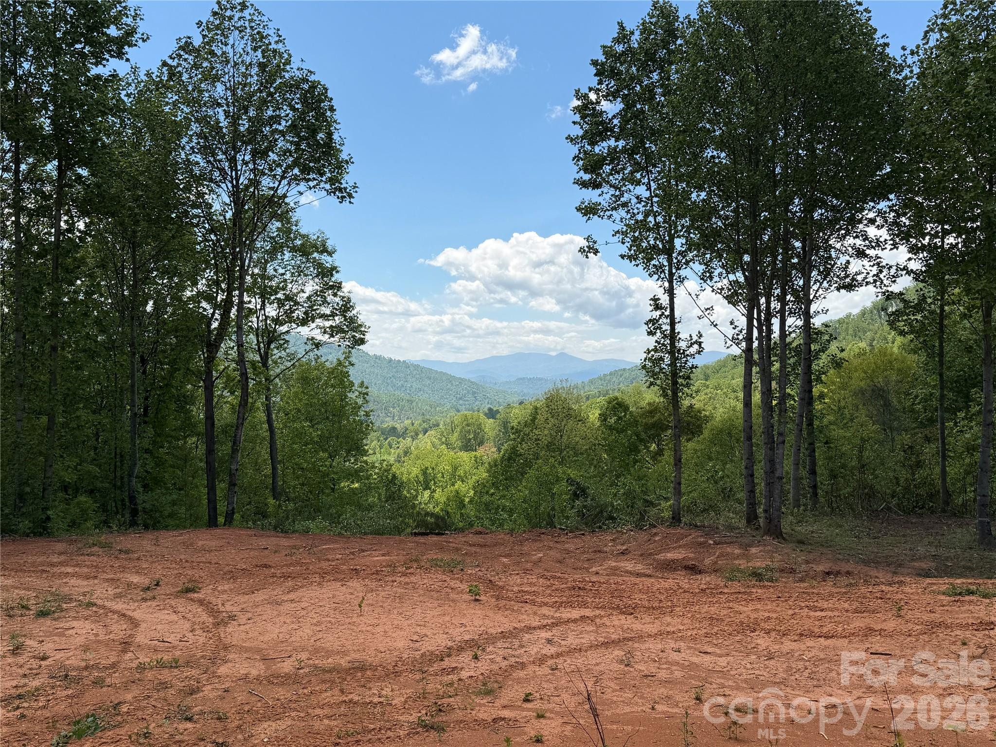 Acreage at 99999 Tipton Lane, Bakersville, photo 9 of 29