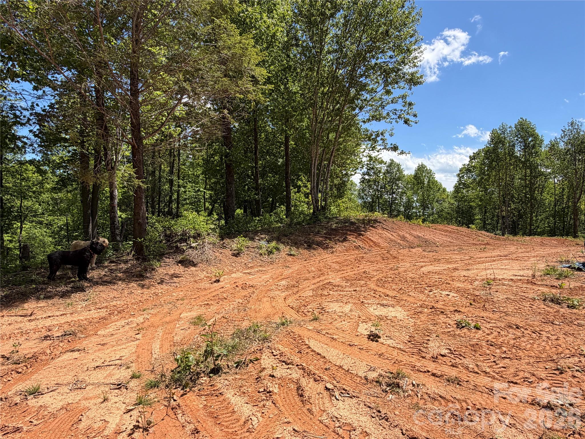 Acreage at 99999 Tipton Lane, Bakersville, photo 11 of 29