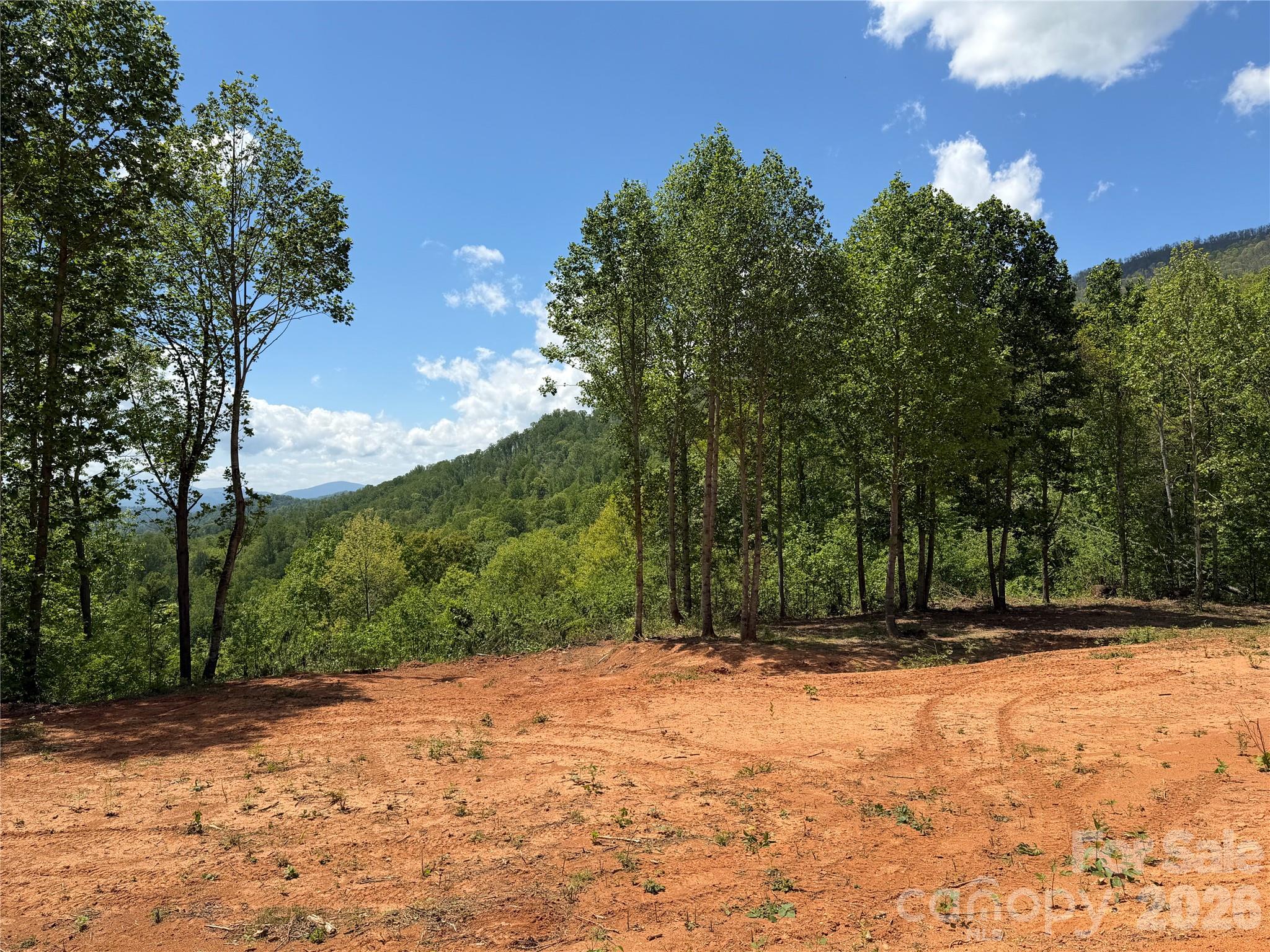 Acreage at 99999 Tipton Lane, Bakersville, photo 12 of 29