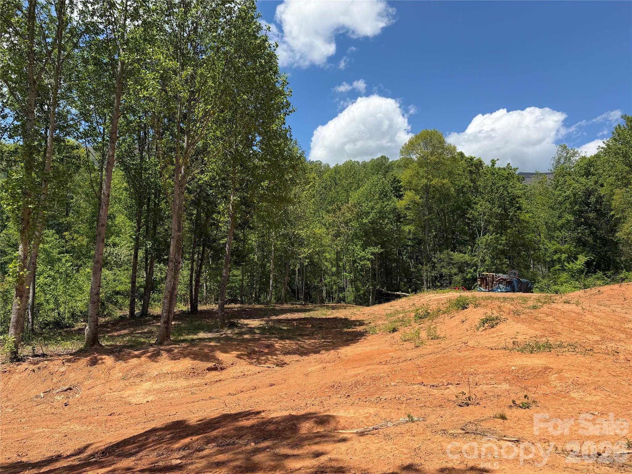 Acreage at 99999 Tipton Lane, Bakersville, photo 13 of 29