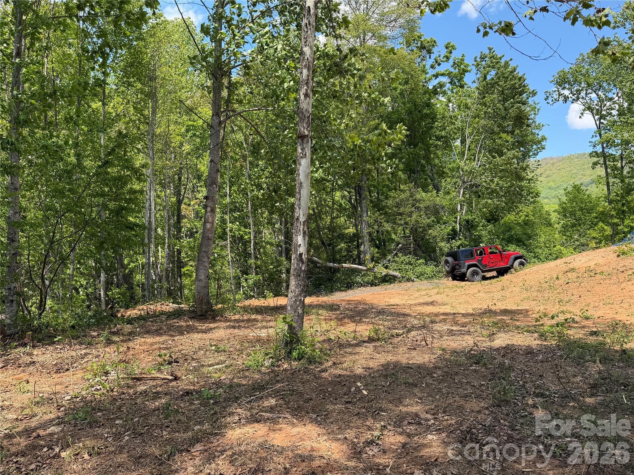 Acreage at 99999 Tipton Lane, Bakersville, photo 14 of 29