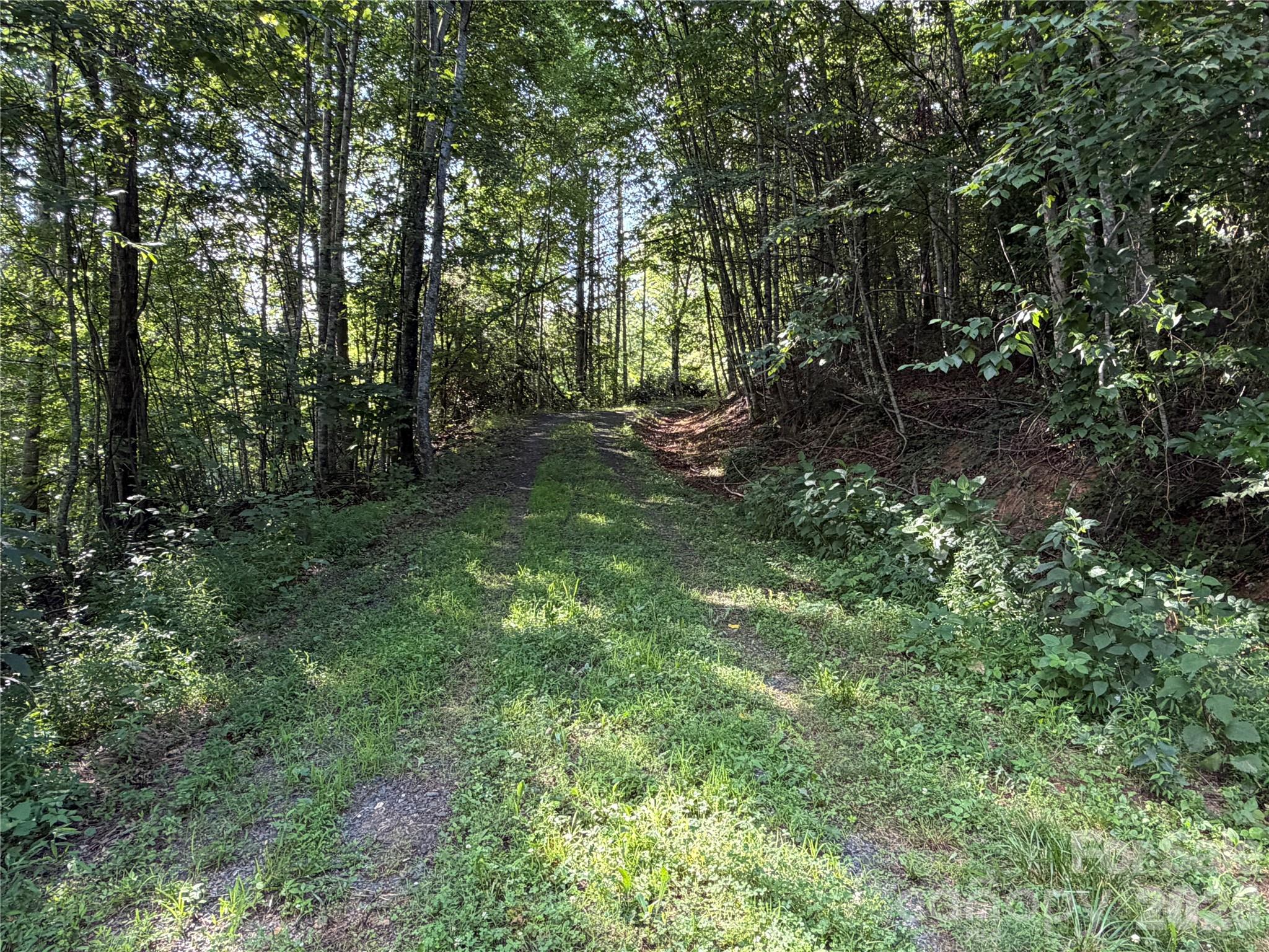 Acreage at 99999 Tipton Lane, Bakersville, photo 16 of 29