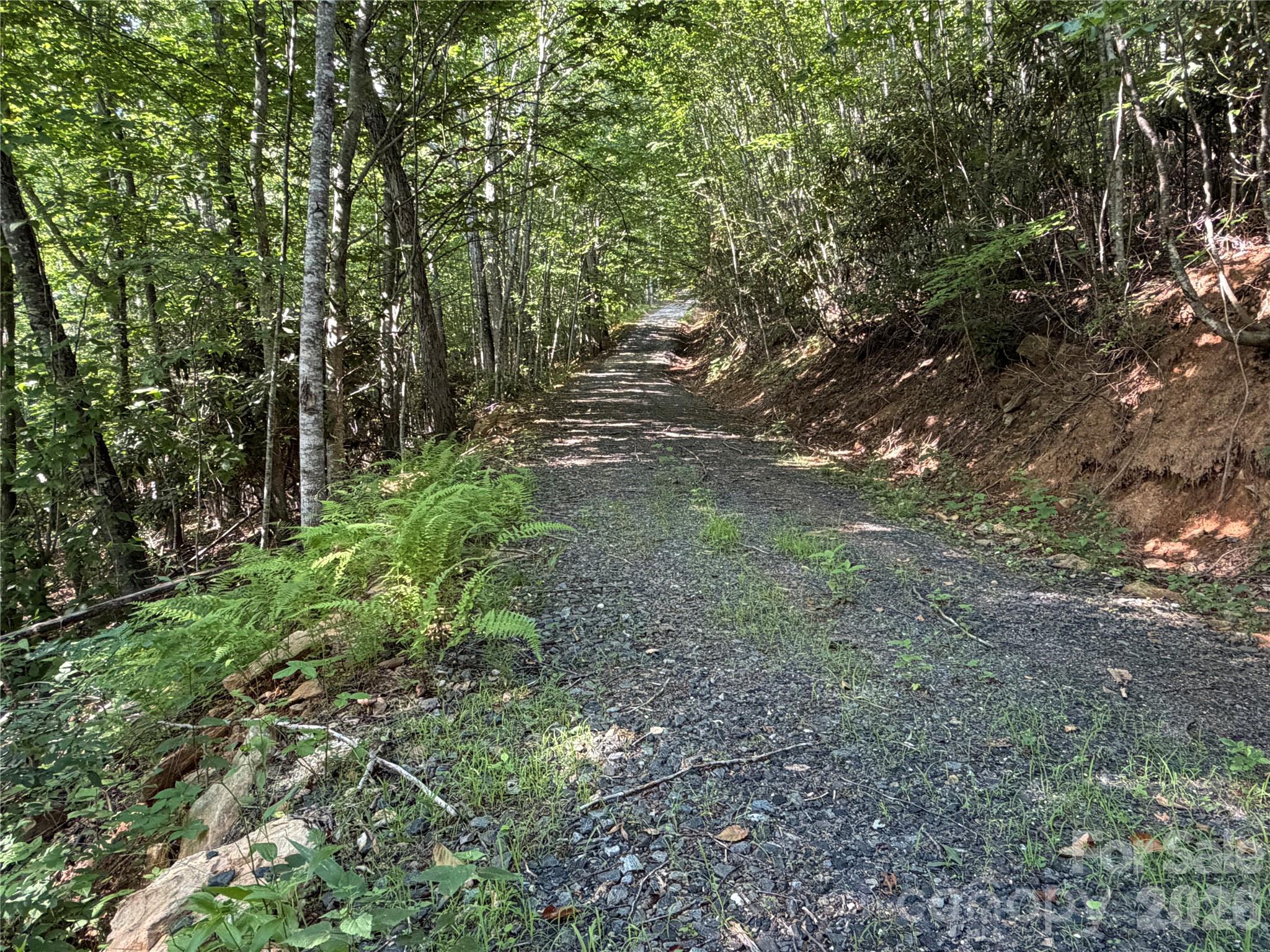 Acreage at 99999 Tipton Lane, Bakersville, photo 17 of 29