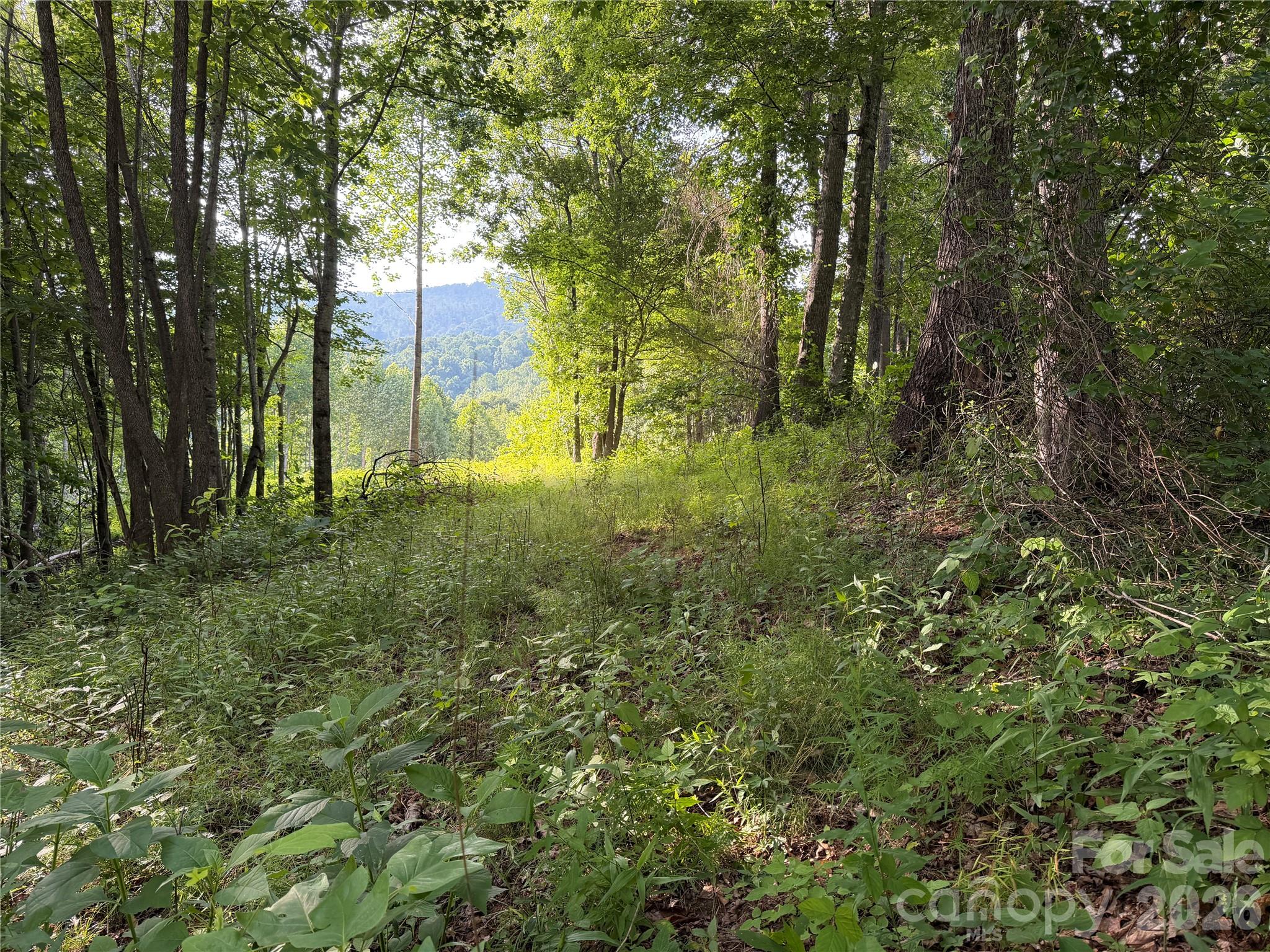 Acreage at 99999 Tipton Lane, Bakersville, photo 22 of 29
