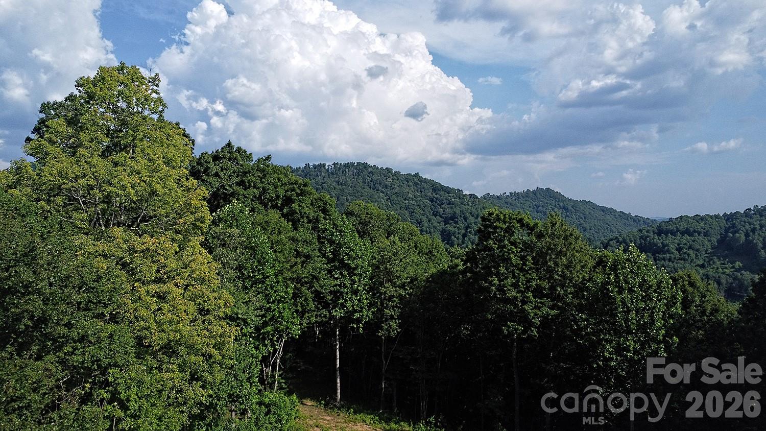 Acreage at 99999 Tipton Lane, Bakersville, photo 27 of 29