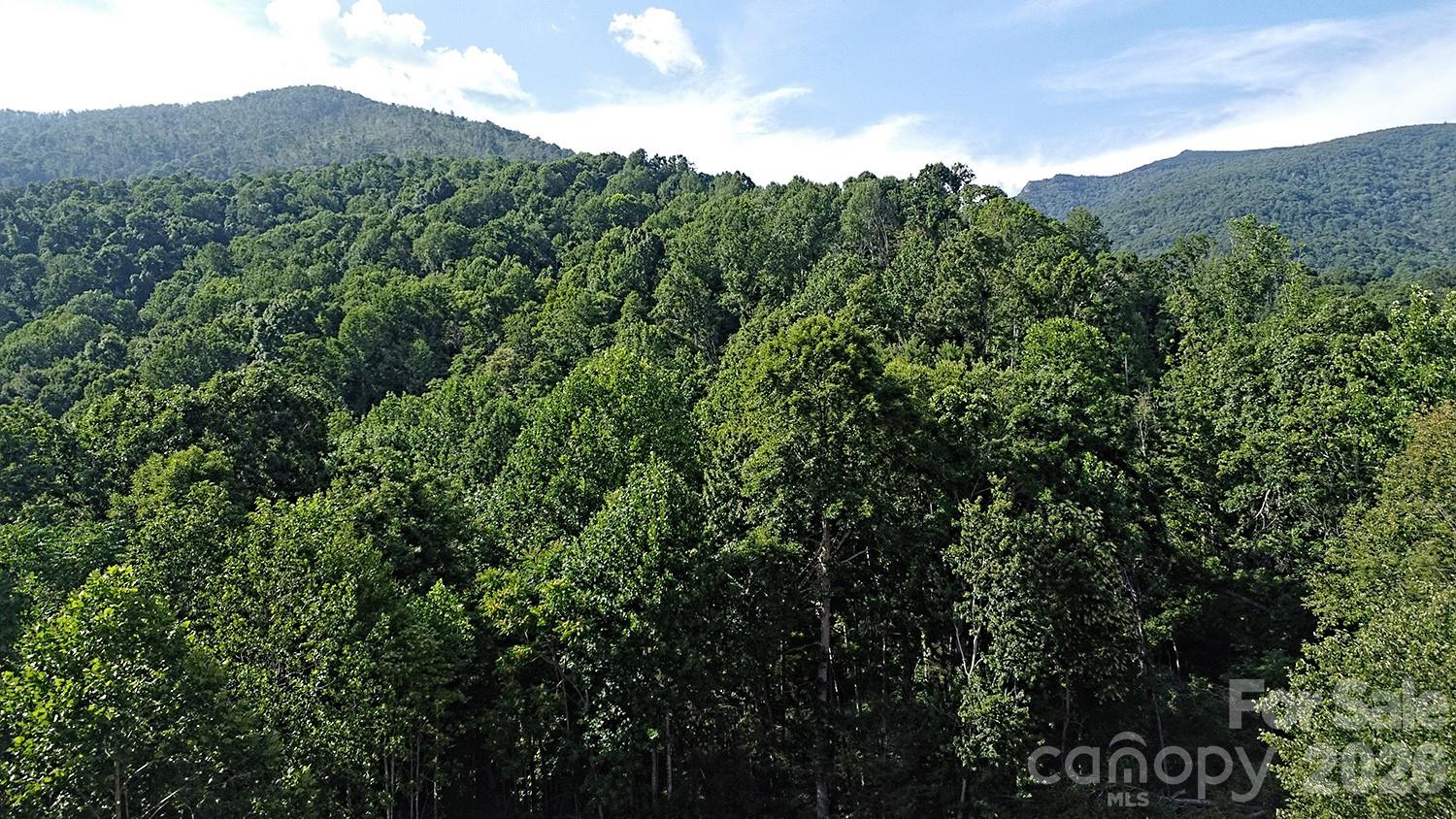 Acreage at 99999 Tipton Lane, Bakersville, photo 28 of 29