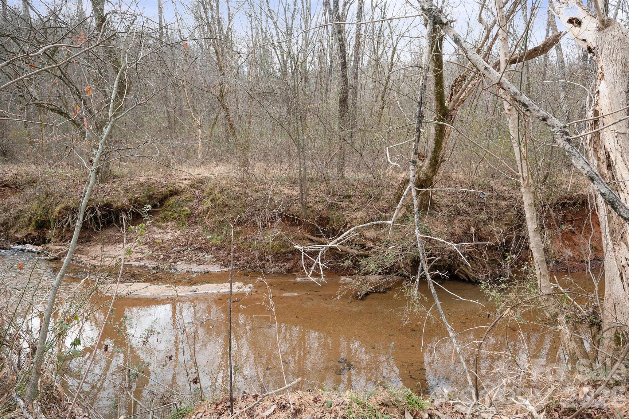 McLin Creek runs along back of property - 1544 Farmington Hills Drive, Conover