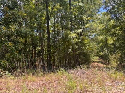 Lot at 00 Nope Lane, Lancaster, photo 3 of 3