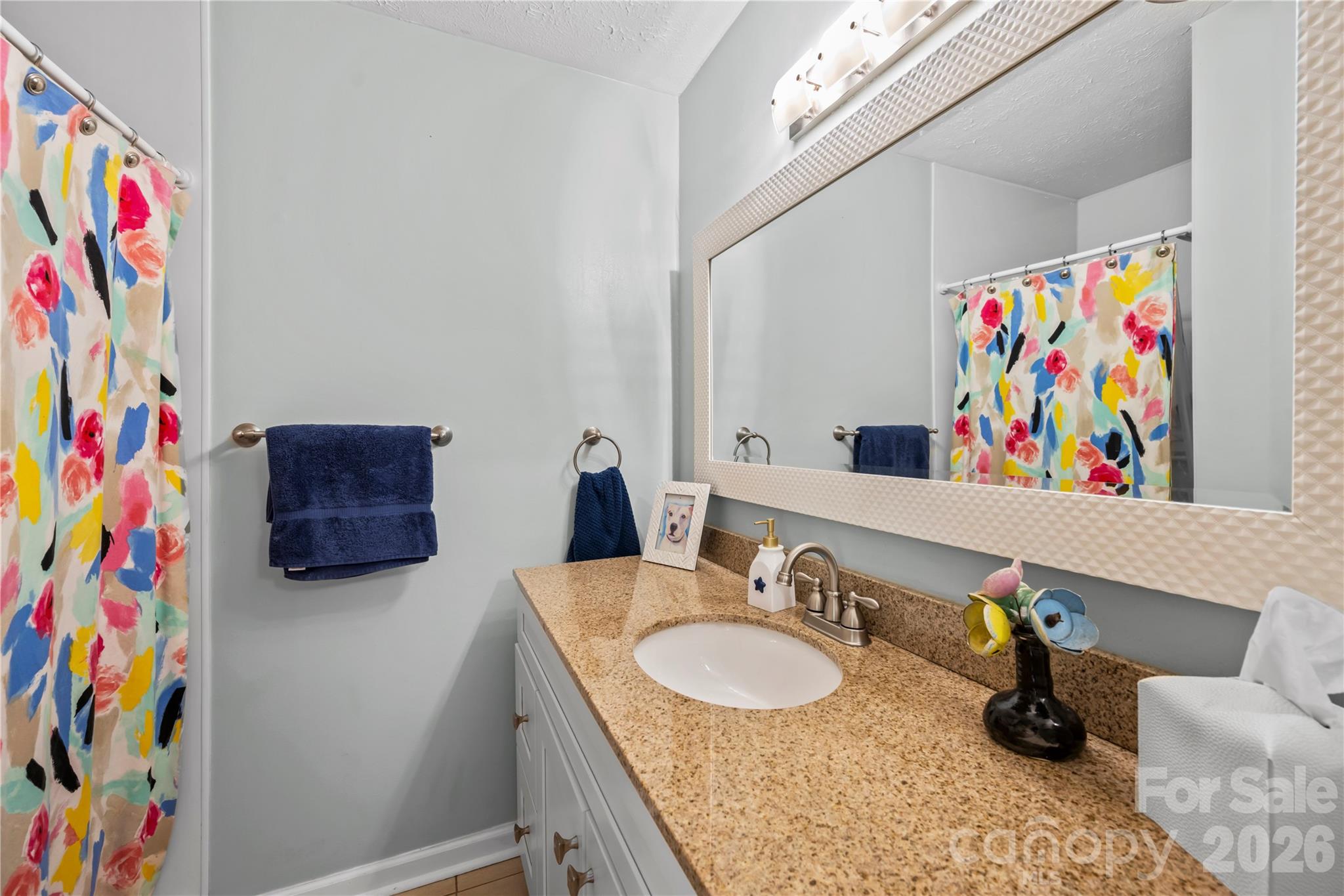 Single Family Residence at 159 New Haw Creek Road, Asheville, photo 18 of 35