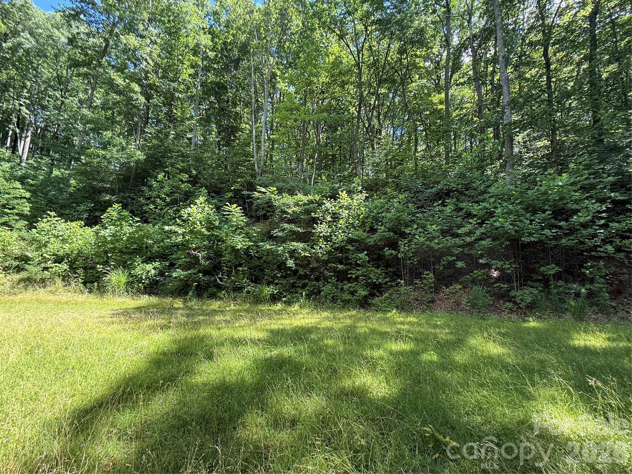 Lot at 999 Hawks Nest Drive, Burnsville, photo 2 of 13
