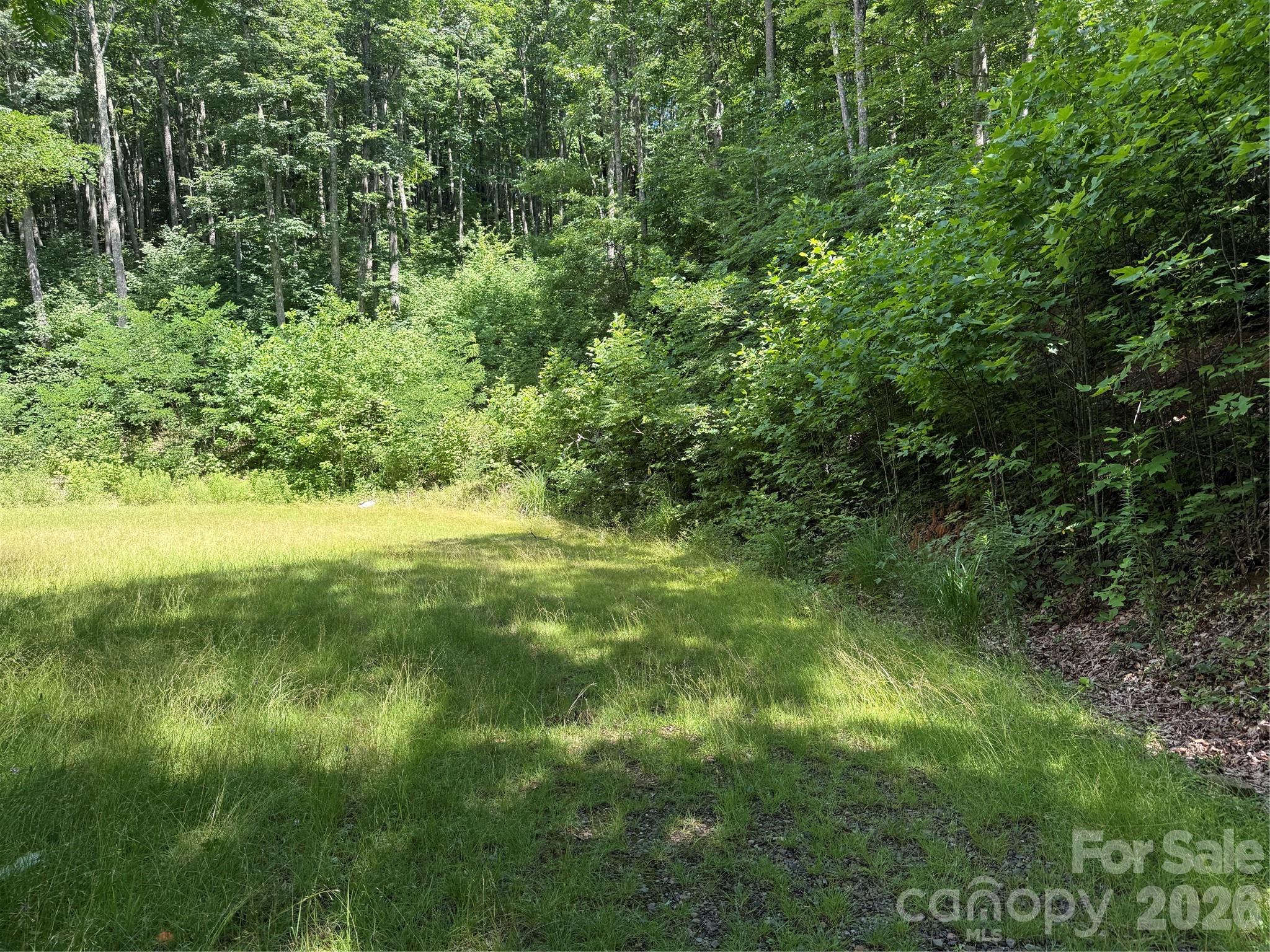 Lot at 999 Hawks Nest Drive, Burnsville, photo 3 of 13