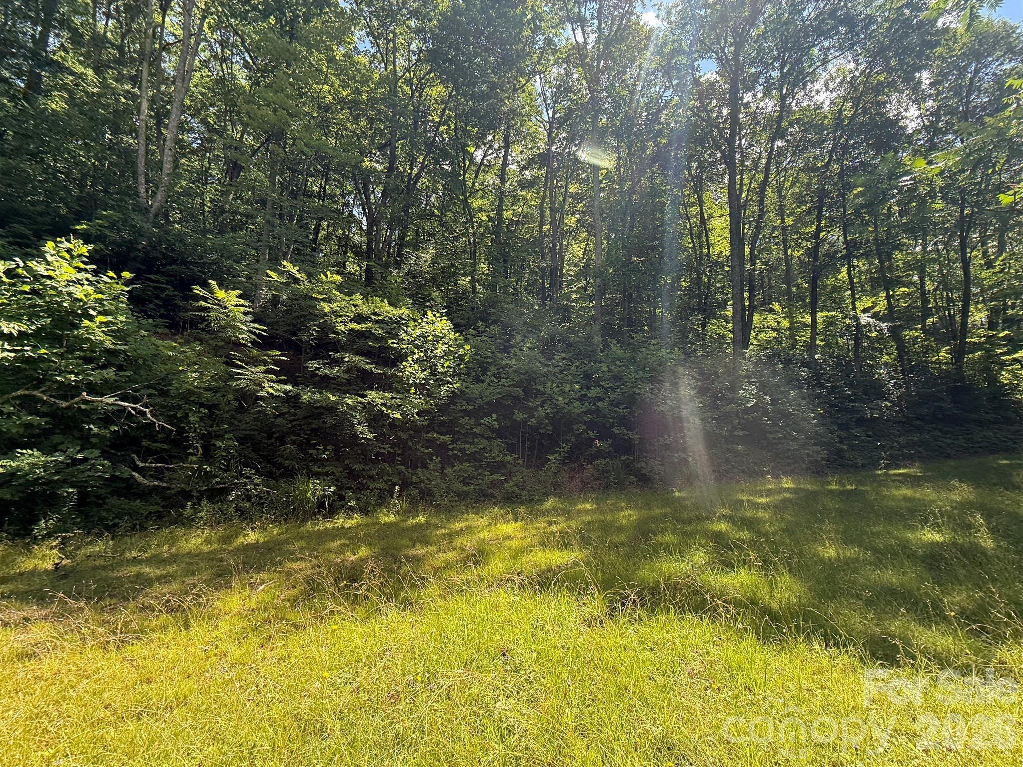 Lot at 999 Hawks Nest Drive, Burnsville, photo 4 of 13