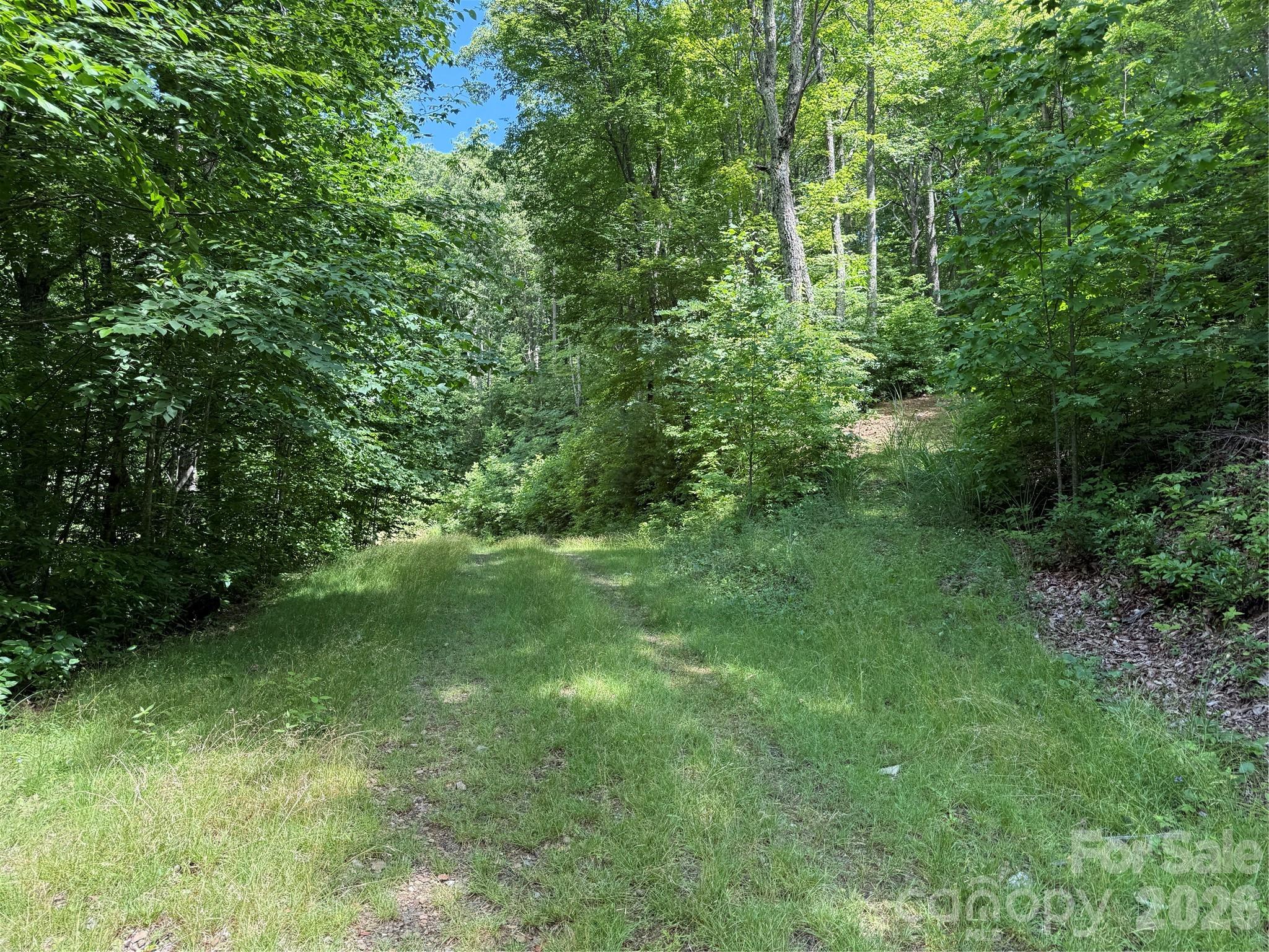 Grassy road/path to property - 999 Hawks Nest Drive, Burnsville