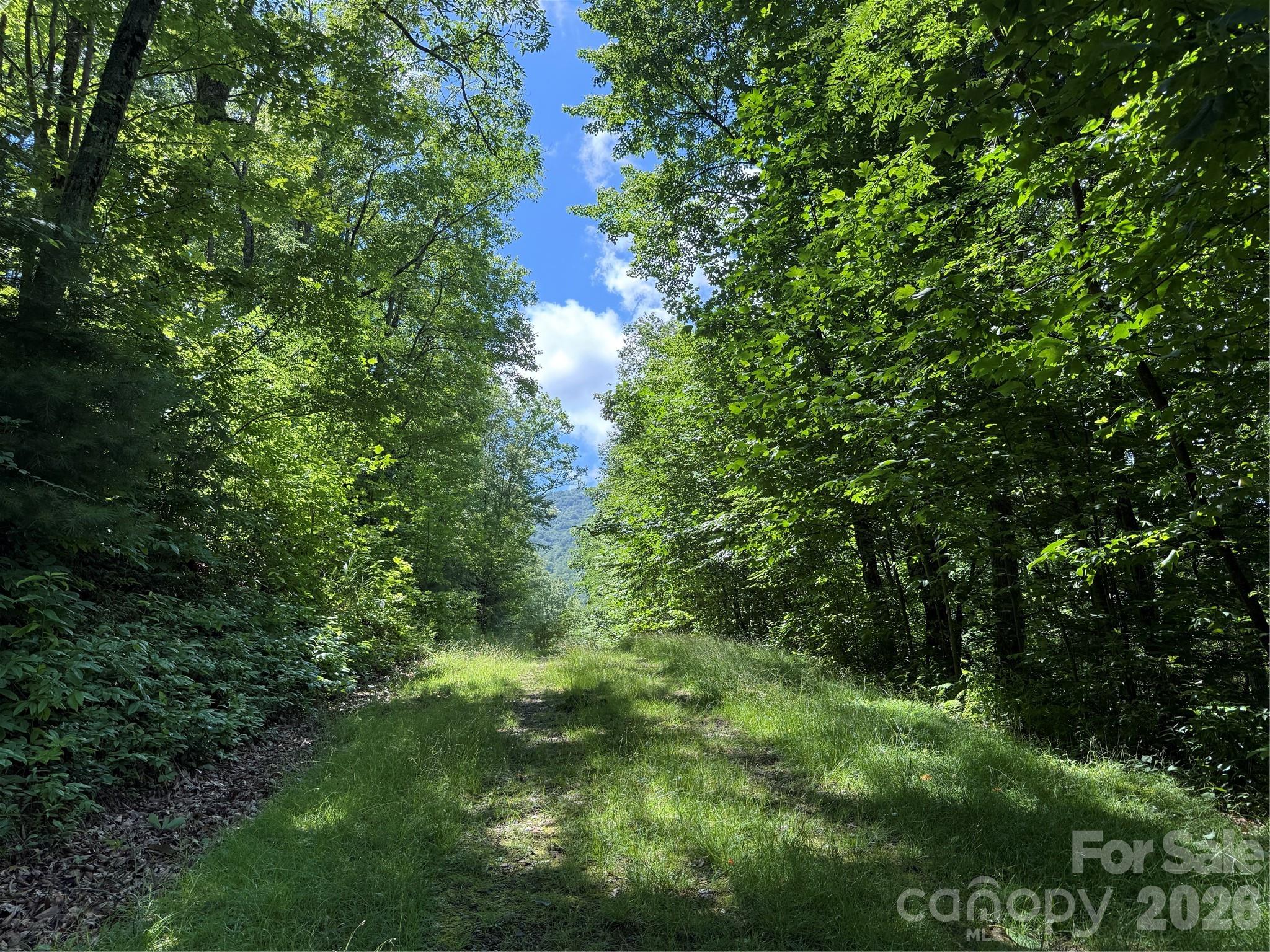 Lot at 999 Hawks Nest Drive, Burnsville, photo 6 of 13