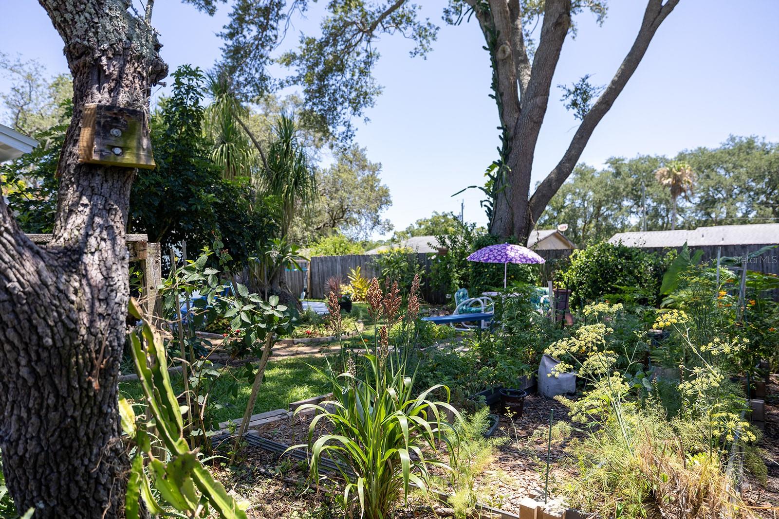 Garden Area - 2553 NORDMAN AVE, NEW SMYRNA BEACH