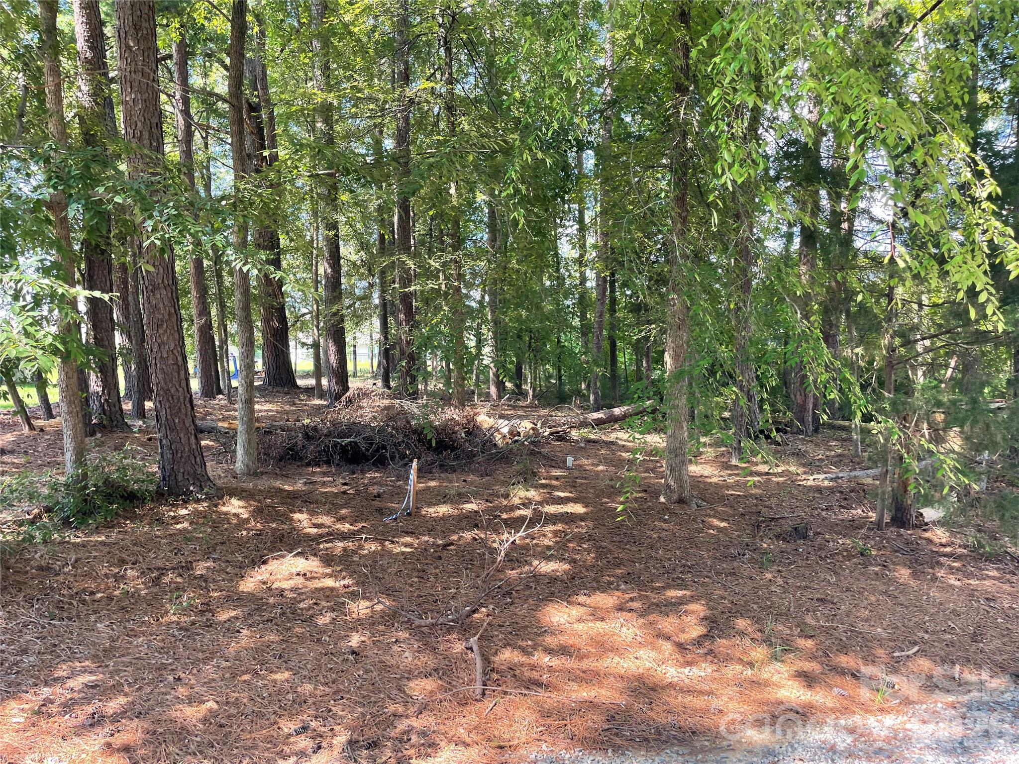 Lot at 13409 Ethelyn Circle, Huntersville, photo 3 of 11
