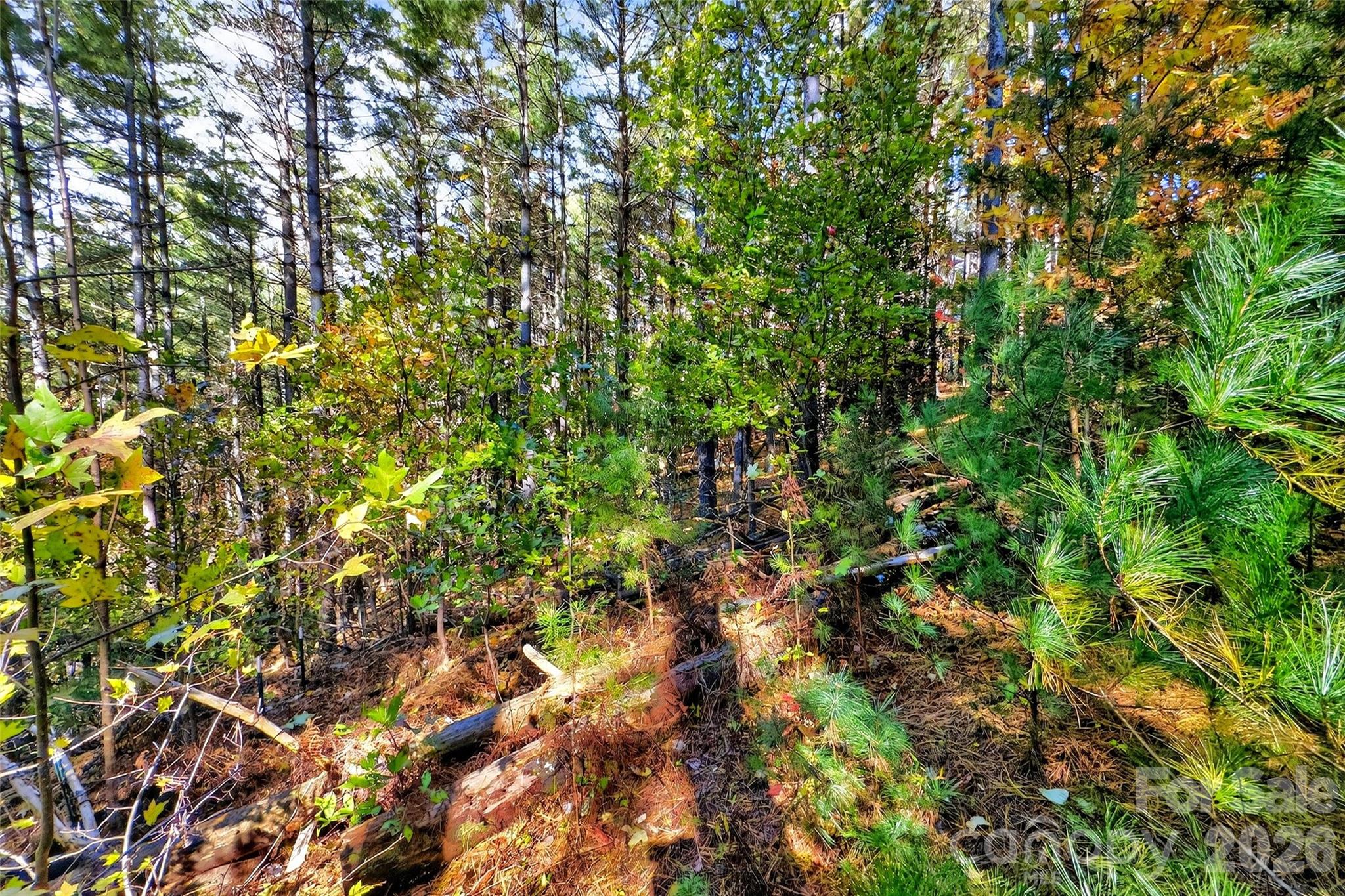 Lot at 0 West Point Drive, Nebo, photo 3 of 36
