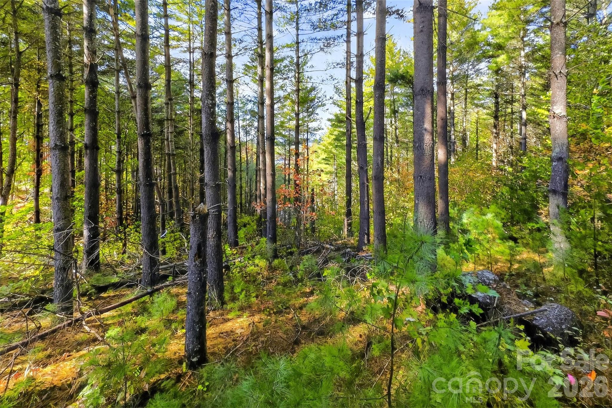 Lot at 0 West Point Drive, Nebo, photo 4 of 36