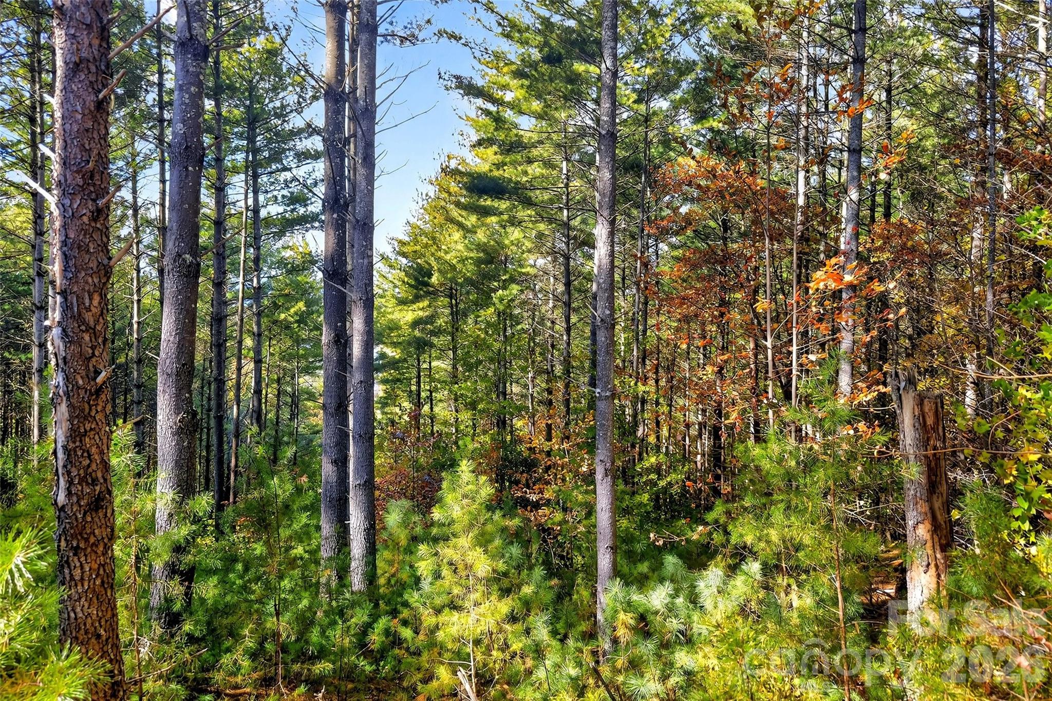 Lot at 0 West Point Drive, Nebo, photo 9 of 36