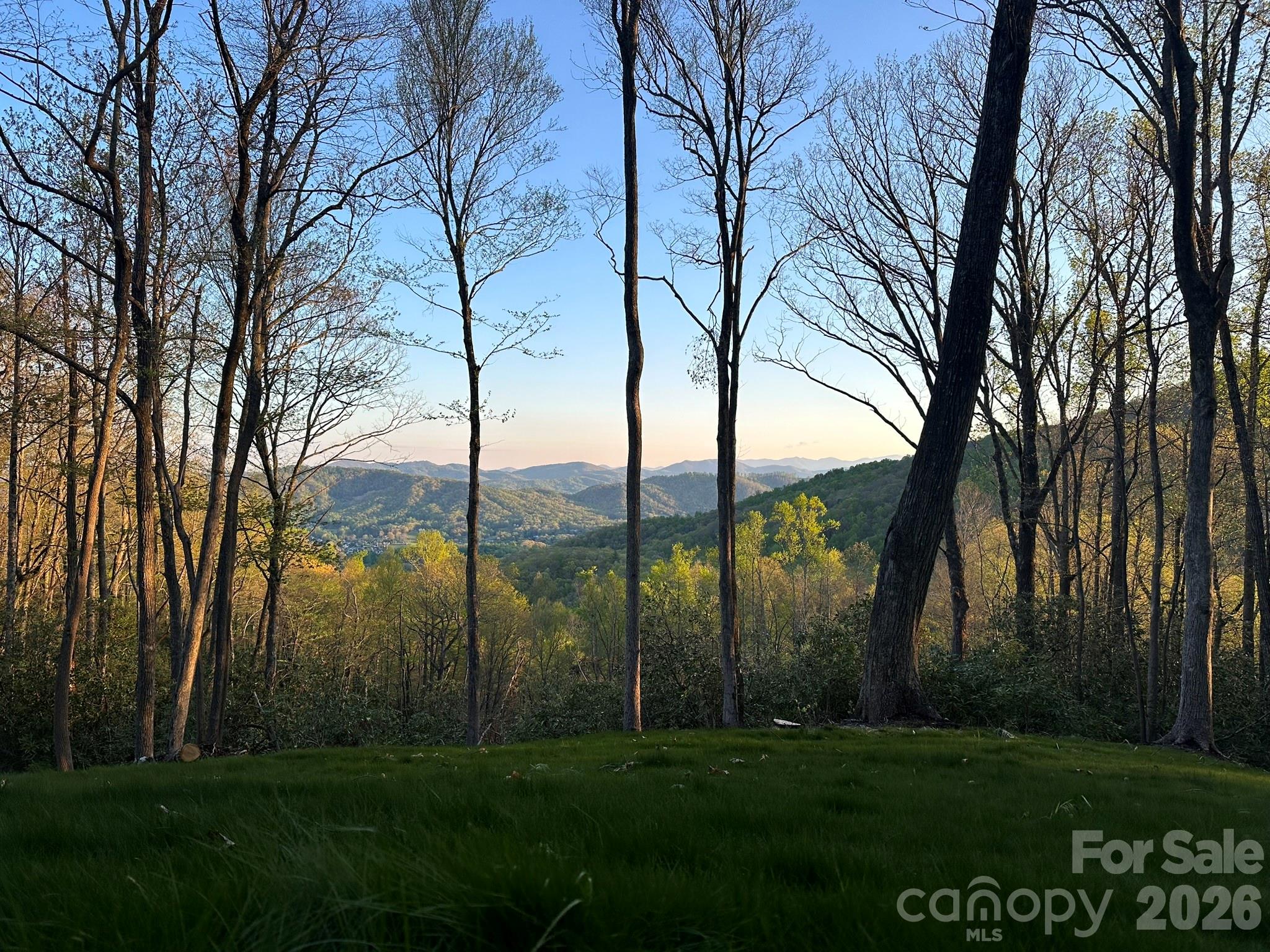 Lot at 202 Hemlock Grove Trail, Hendersonville, photo 7 of 21
