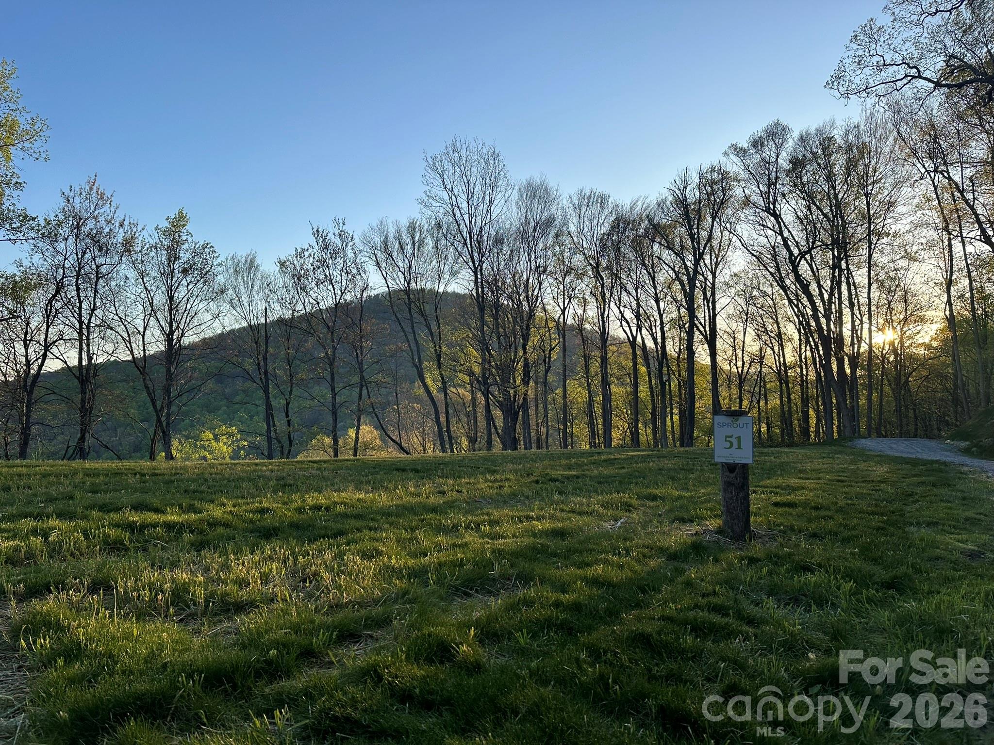 Lot at 202 Hemlock Grove Trail, Hendersonville, photo 8 of 21