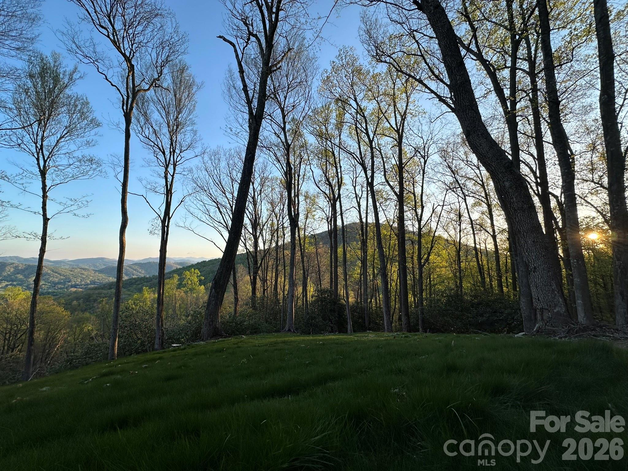 Lot at 202 Hemlock Grove Trail, Hendersonville, photo 10 of 21