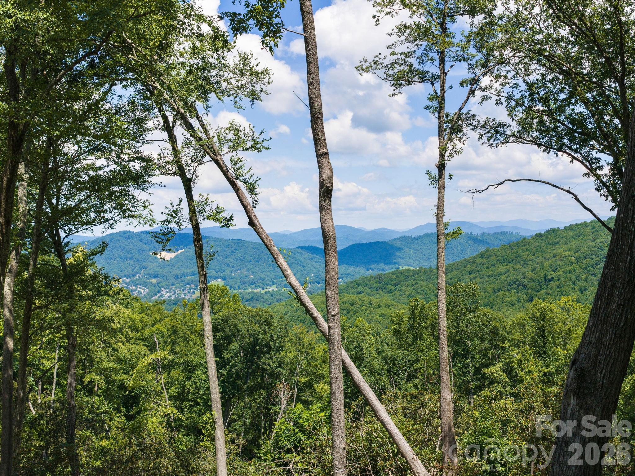 Lot at 202 Hemlock Grove Trail, Hendersonville, photo 14 of 21