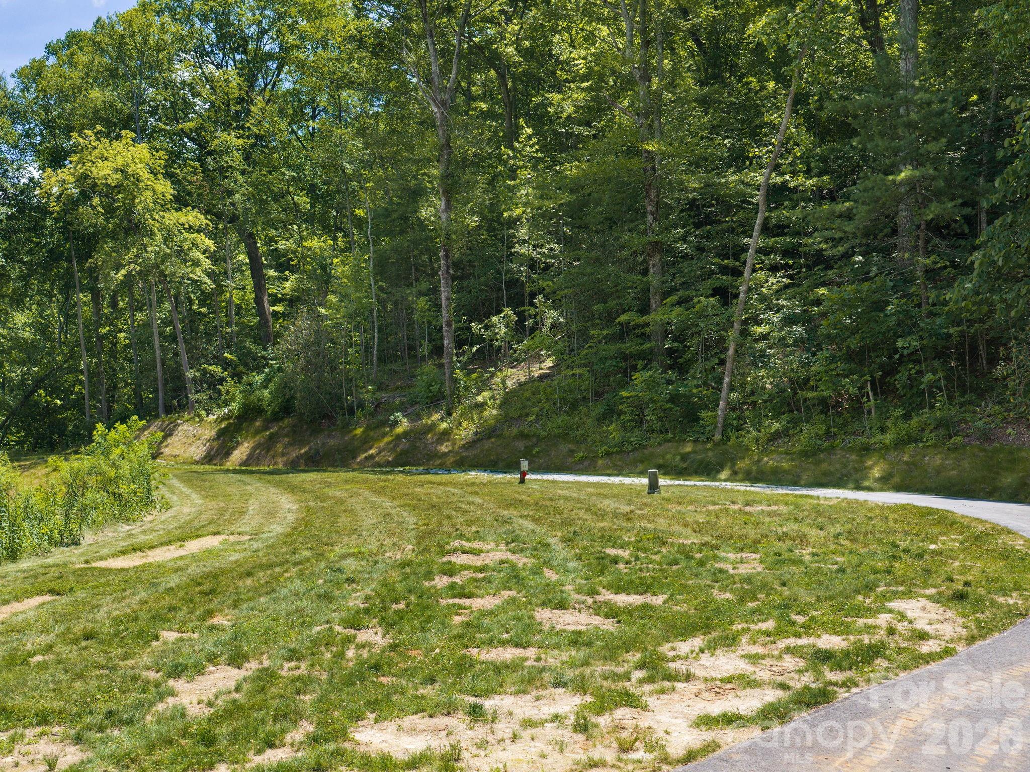 Lot at 202 Hemlock Grove Trail, Hendersonville, photo 19 of 21