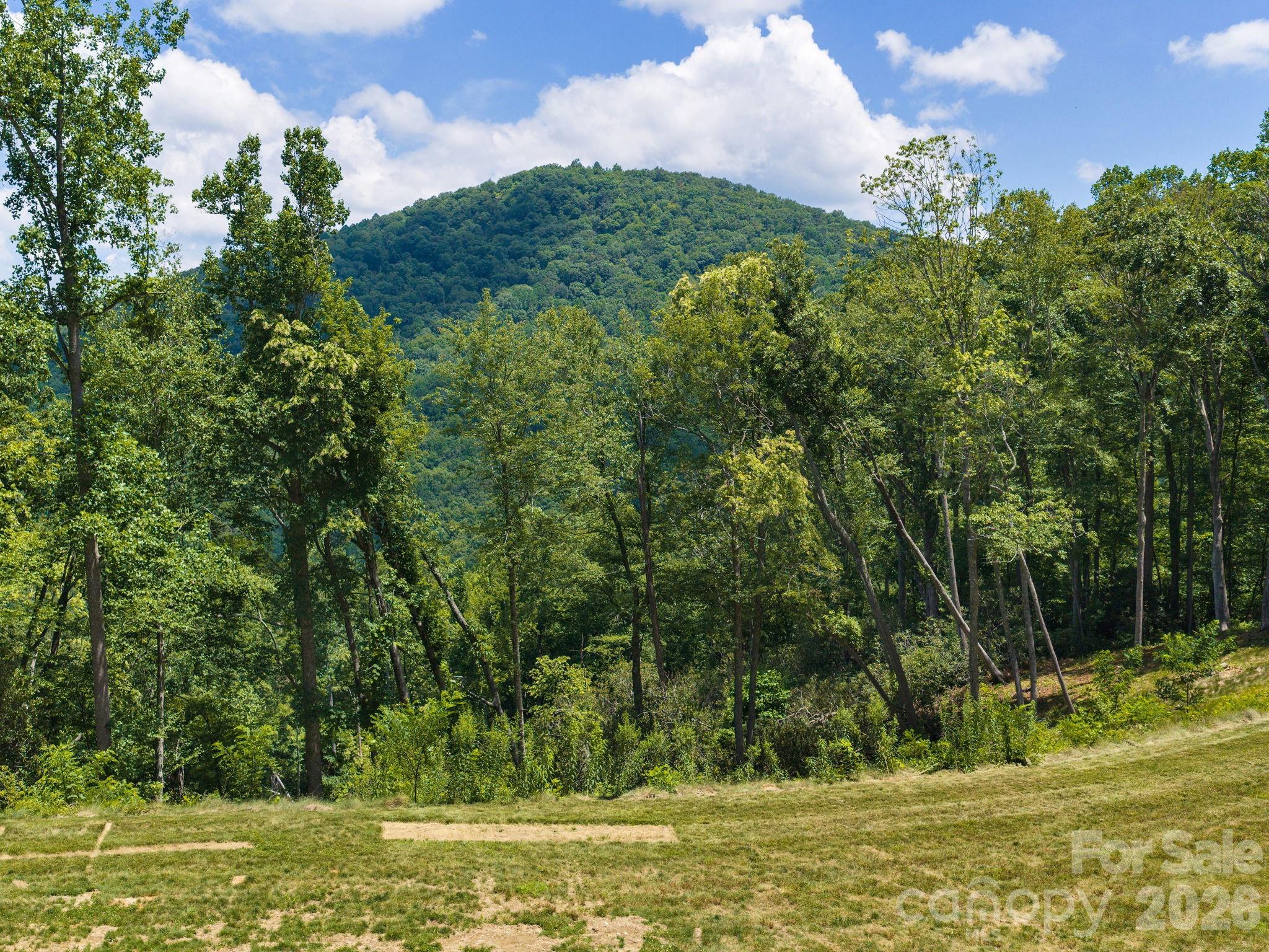Lot at 202 Hemlock Grove Trail, Hendersonville, photo 15 of 21