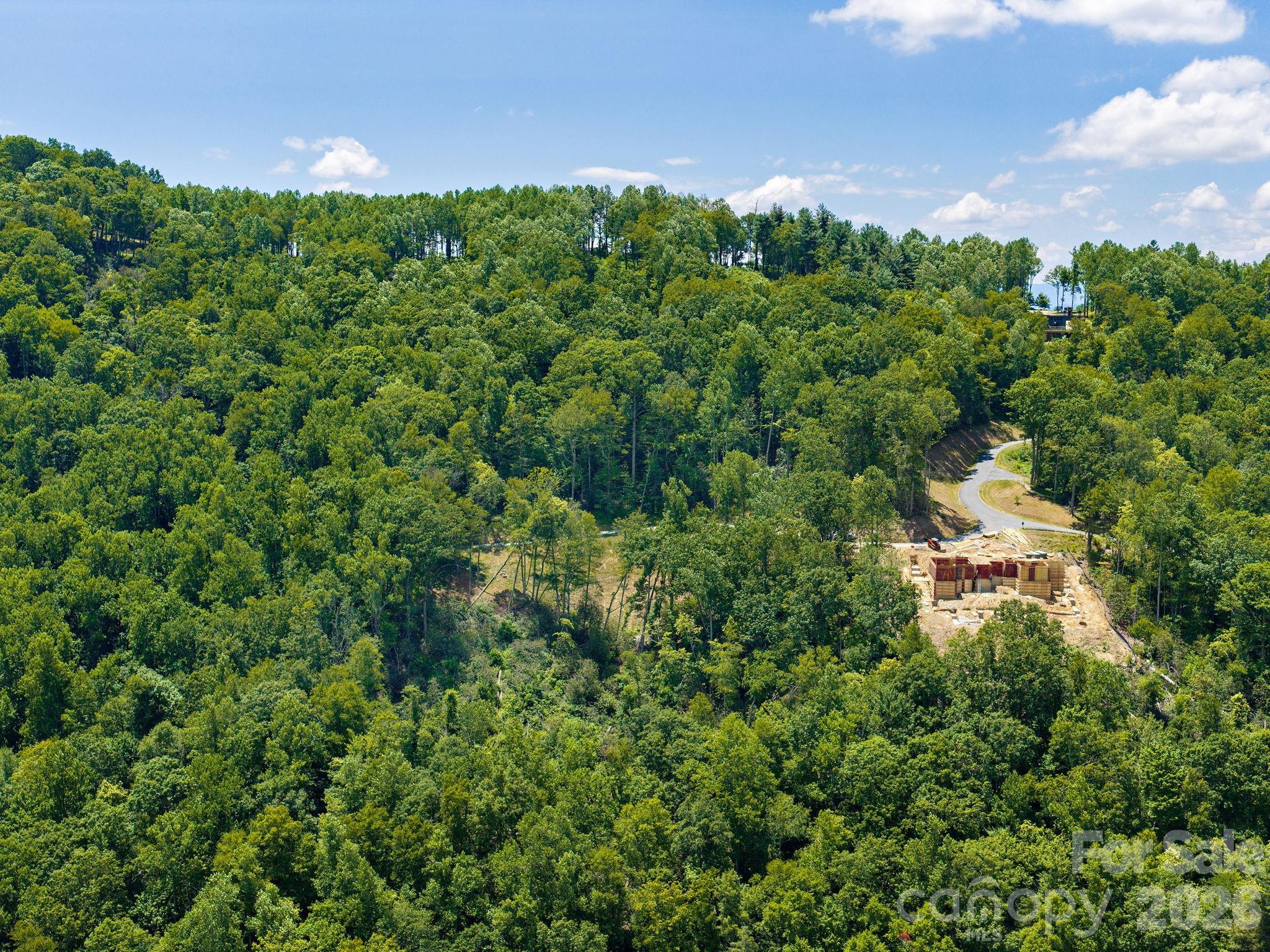 Lot at 202 Hemlock Grove Trail, Hendersonville, photo 20 of 21