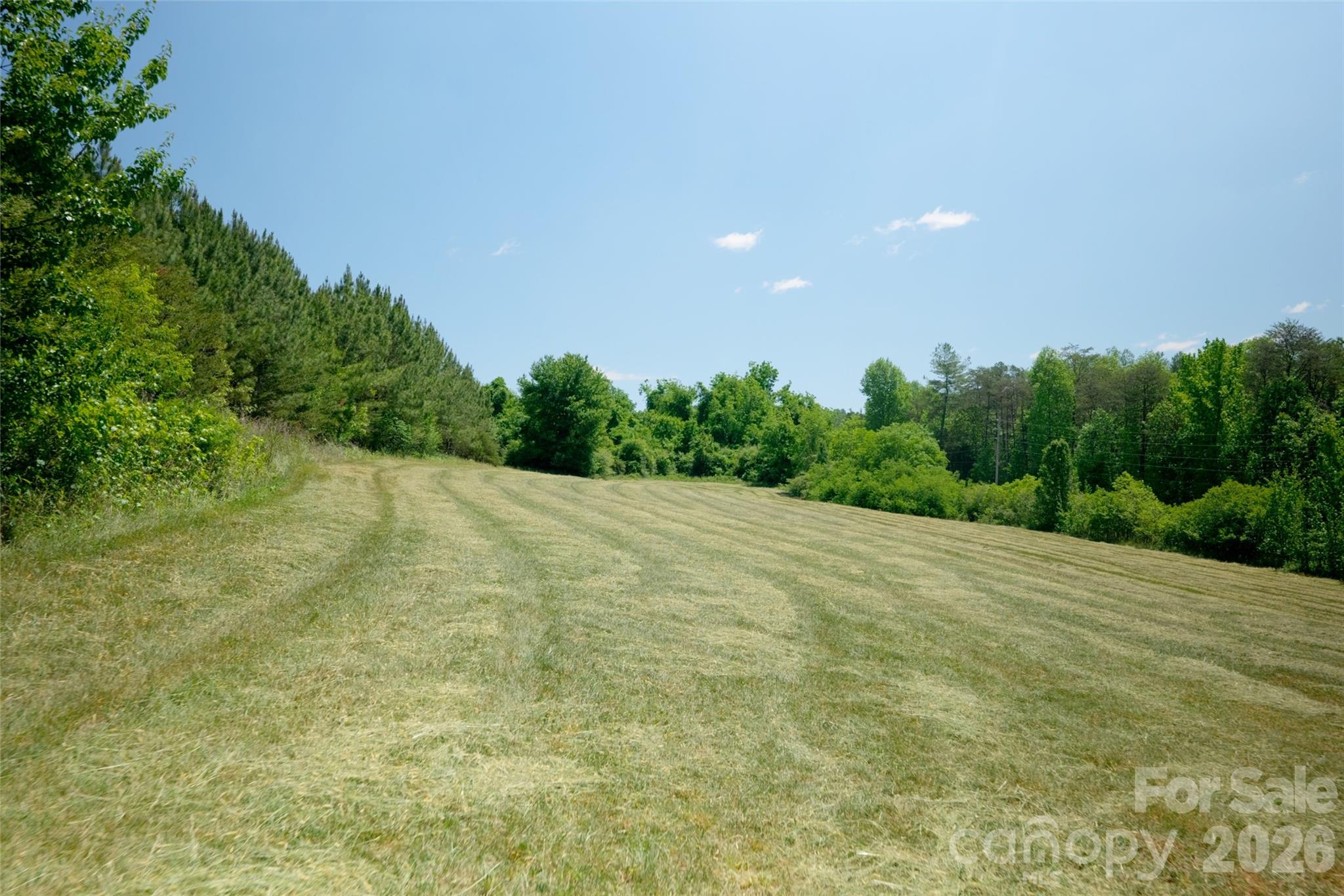 Acreage at 4 Morrison Road, Morganton, photo 2 of 18
