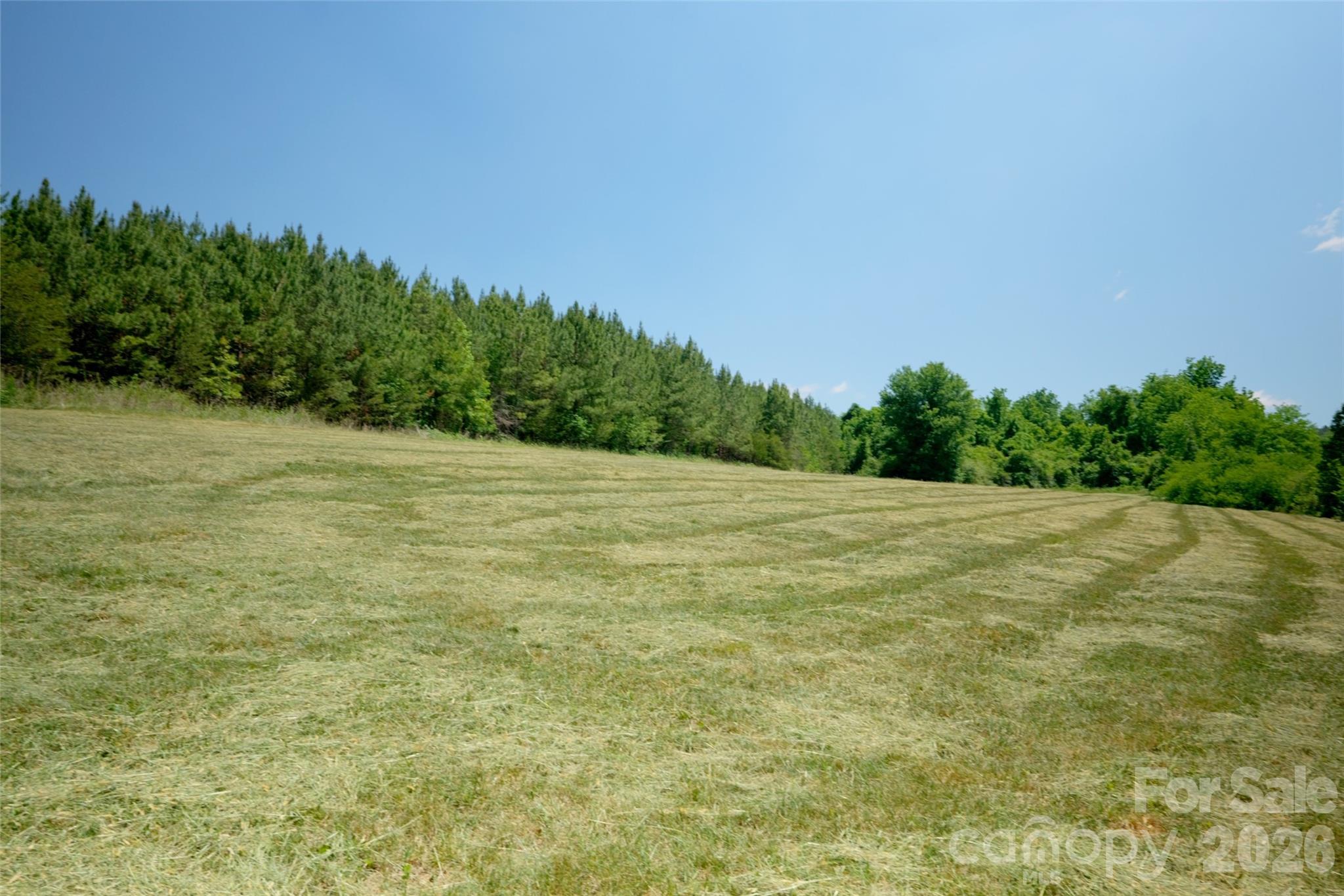Acreage at 4 Morrison Road, Morganton, photo 4 of 18
