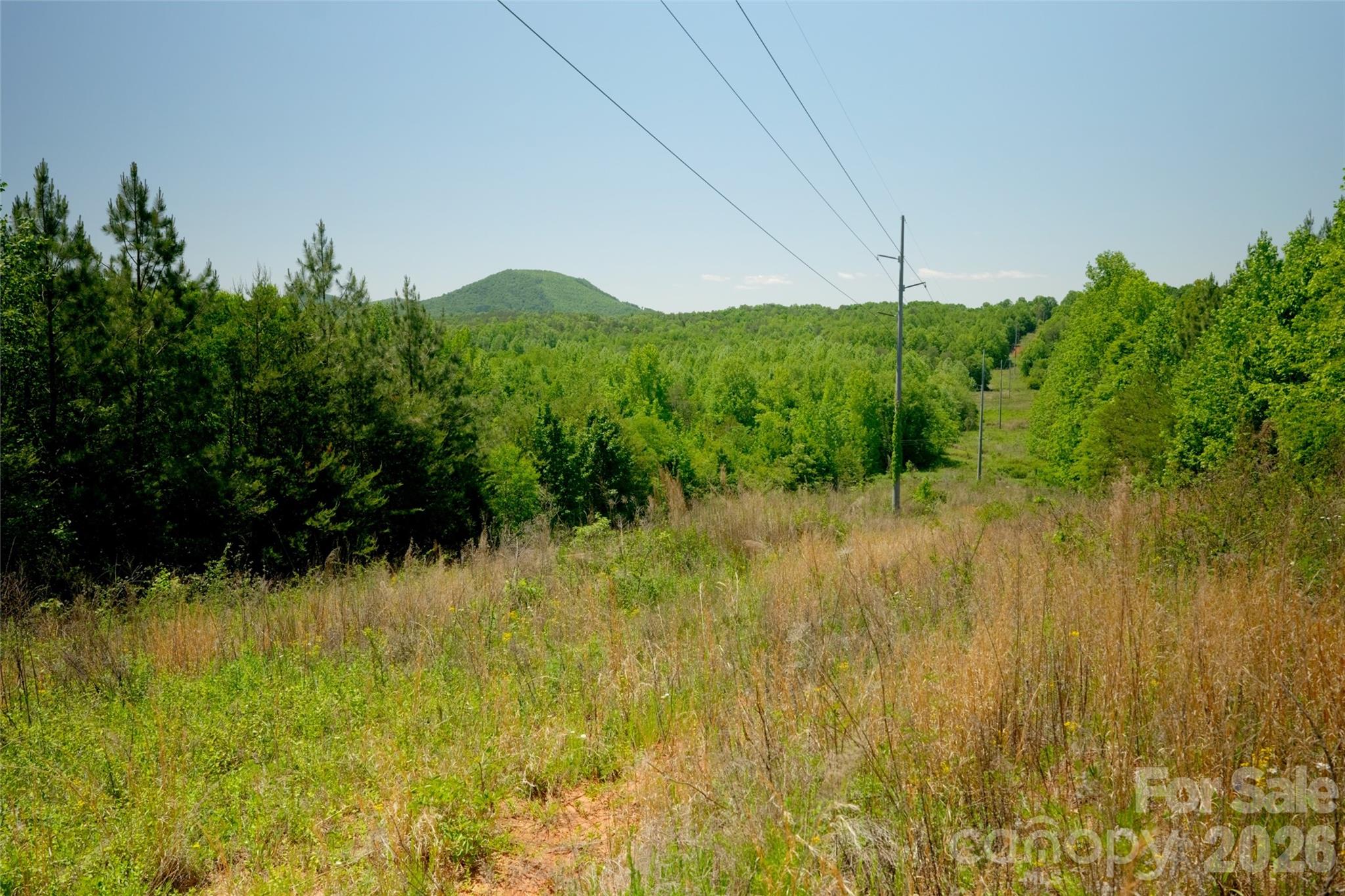Acreage at 4 Morrison Road, Morganton, photo 13 of 18
