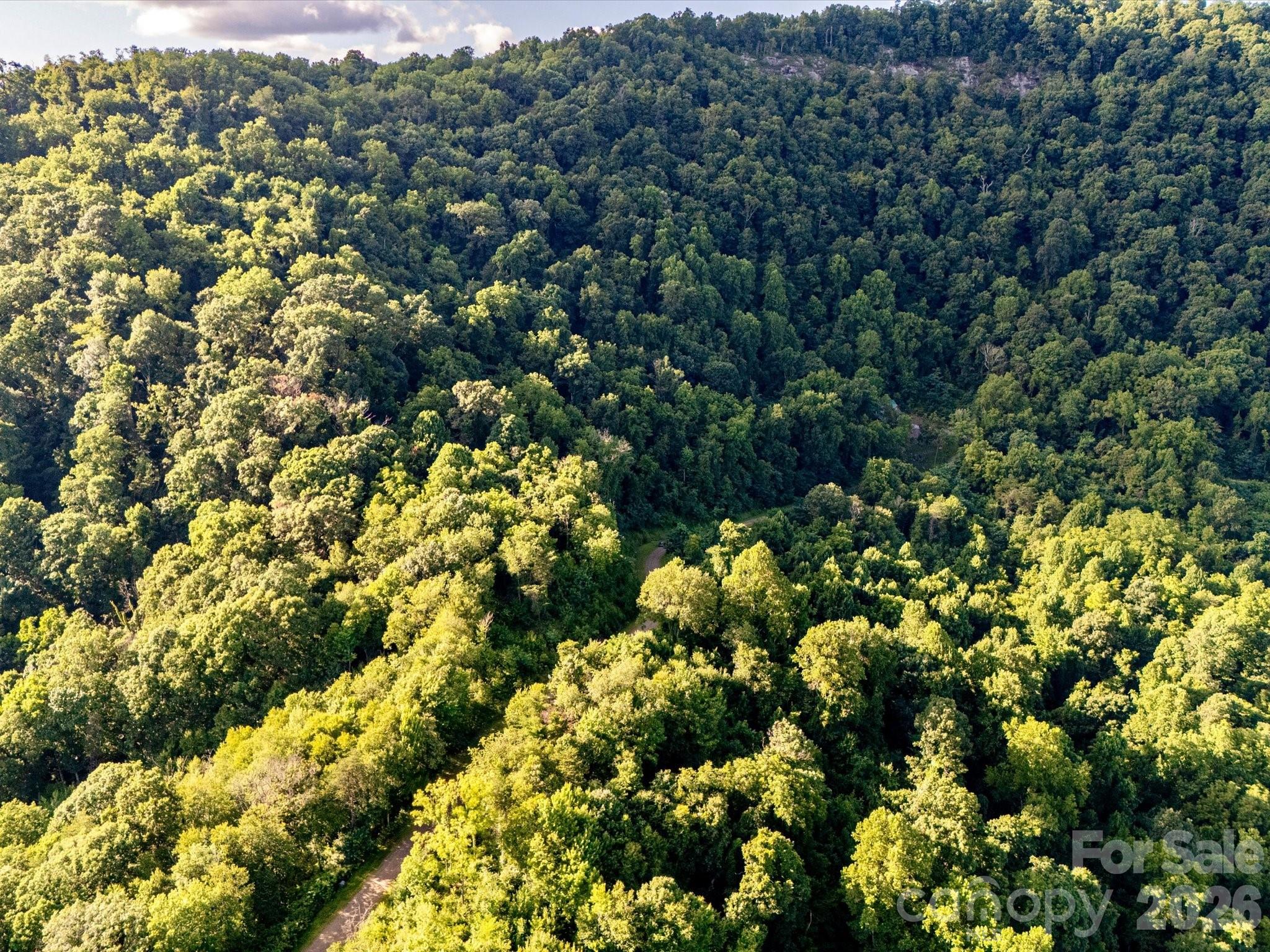 A slice of private paradise - 42 High Rock View Drive, Canton