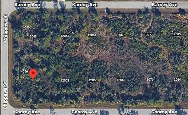 Land at 12042 CONROY AVE, PORT CHARLOTTE, photo 2 of 2