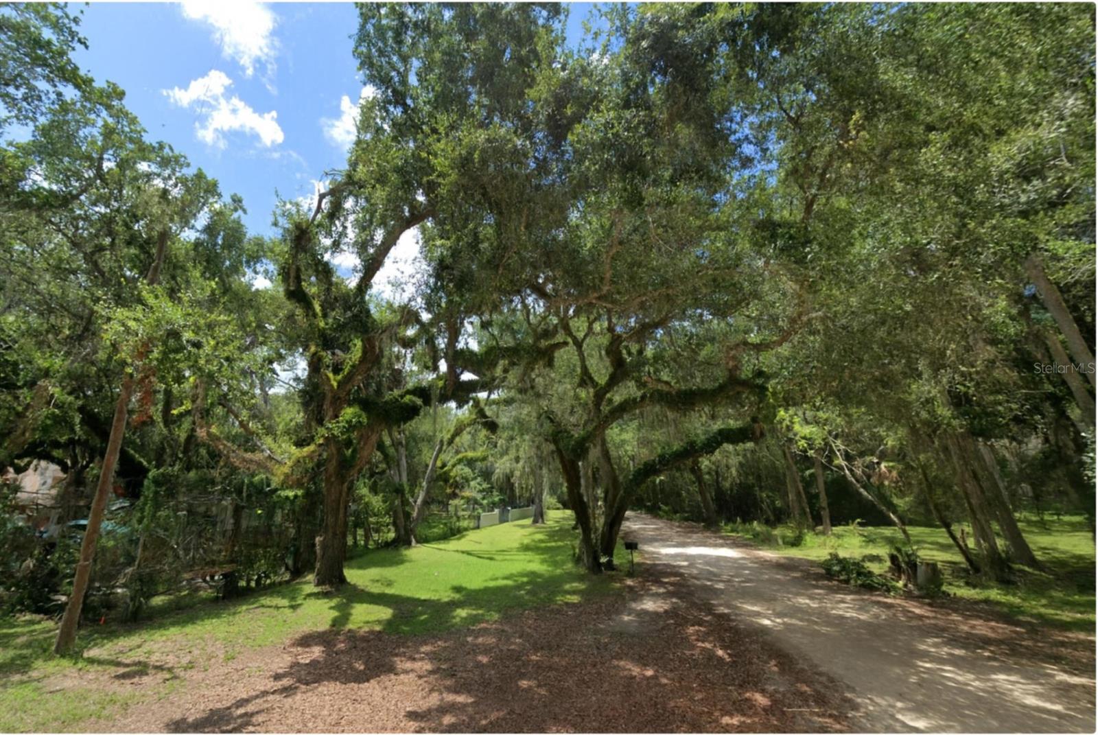 Land at 111 HERNANDEZ AVE, PALM COAST, photo 3 of 16