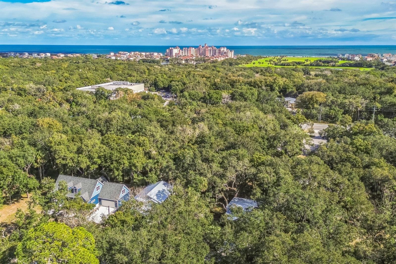 Land at 111 HERNANDEZ AVE, PALM COAST, photo 11 of 16
