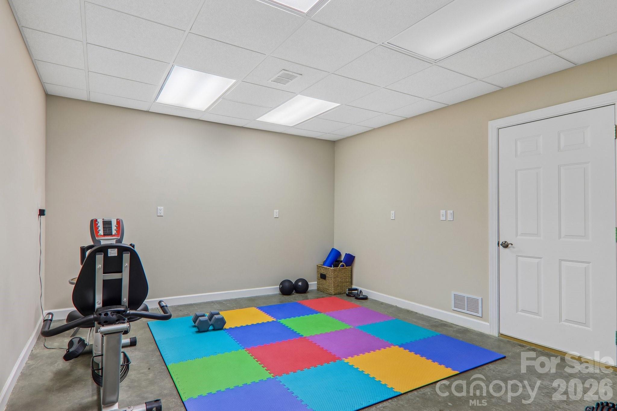 Bonus 2: Workout room - 24 Turkey Roost Court, Flat Rock