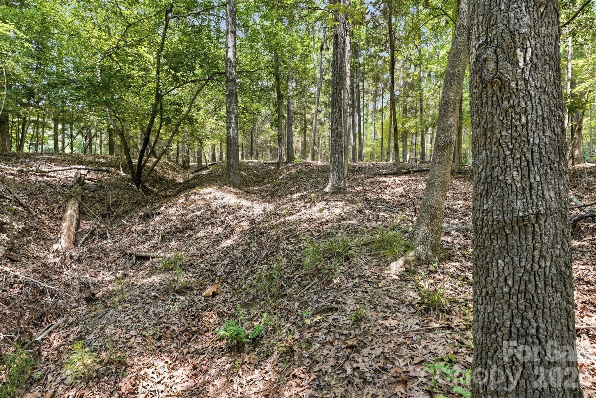 Lot at TBD Marlette Drive, York, photo 17 of 21