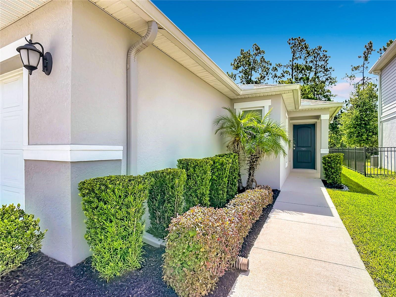 Entrance landscape and rain gutters - 386 PRESERVE POINTE BLVD, DAVENPORT