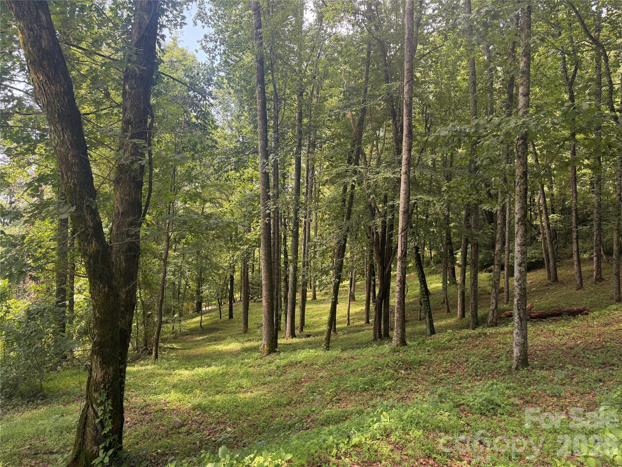 89 Split Rock Trail