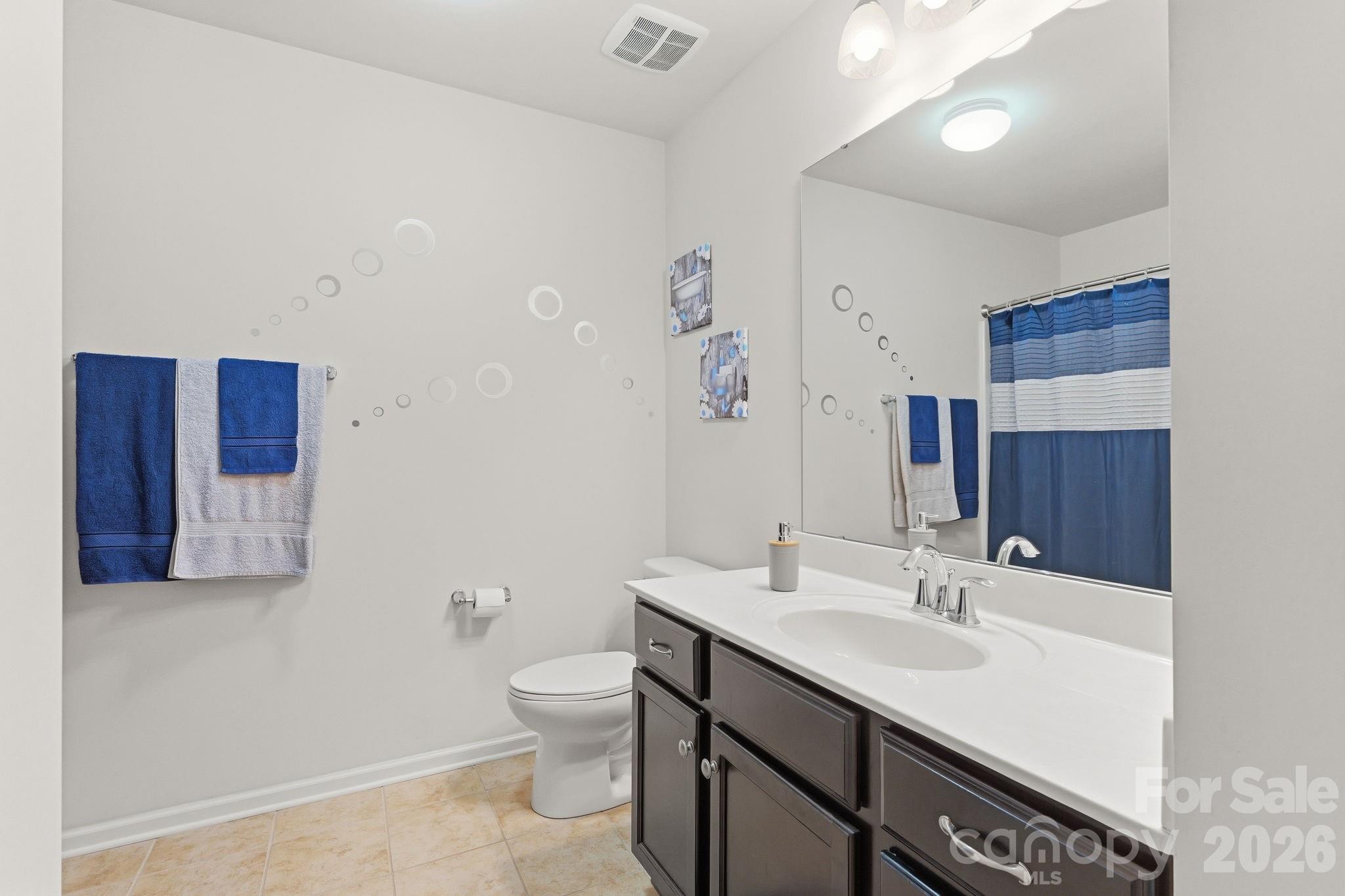 Hallway Bathroom - 7317 Overmountain Drive, Rock Hill