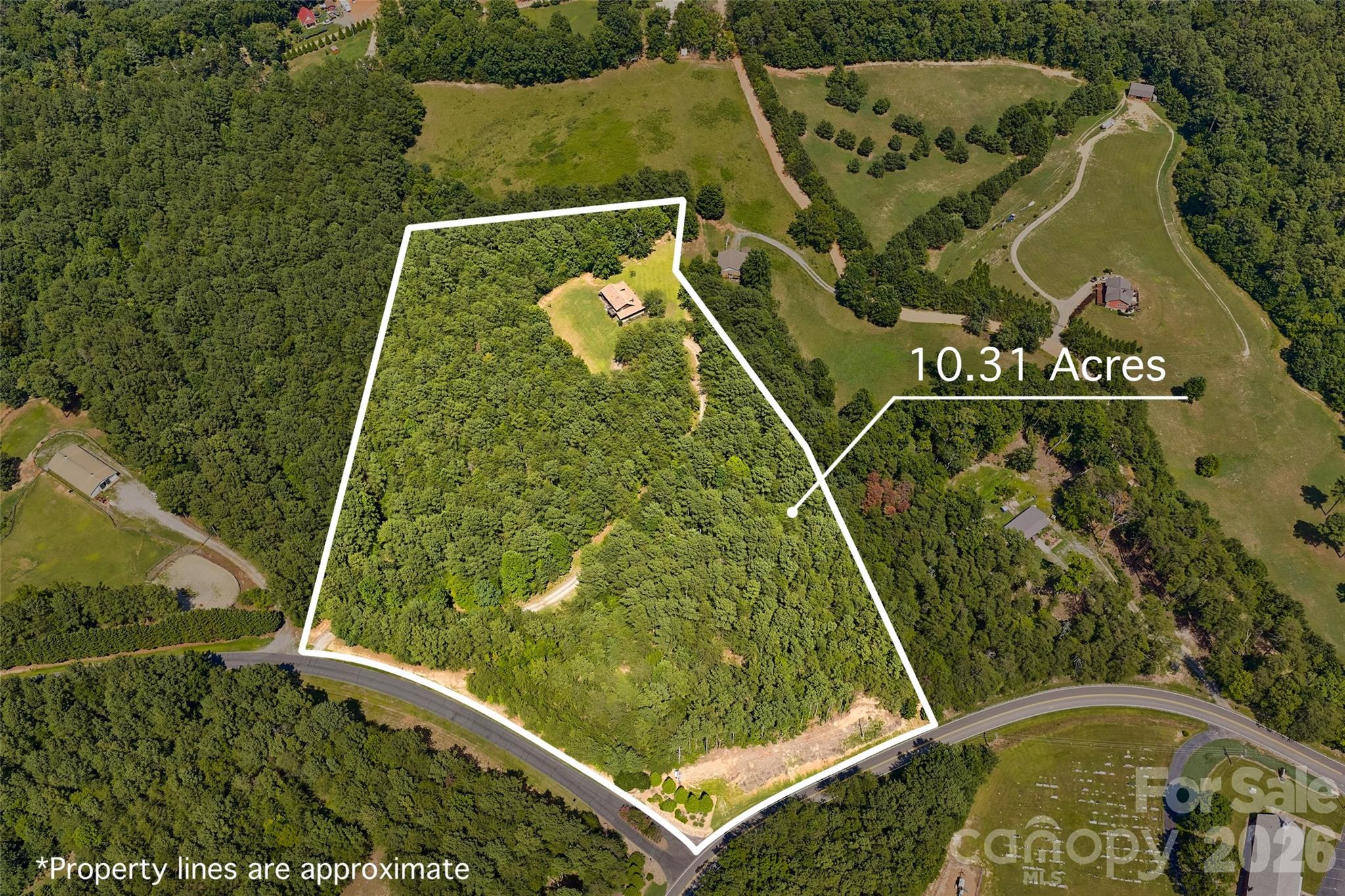 Several Equestrian Farms nearby. This would make a nice farm with clearing. - 4551 Lake Adger Parkway, Mill Spring