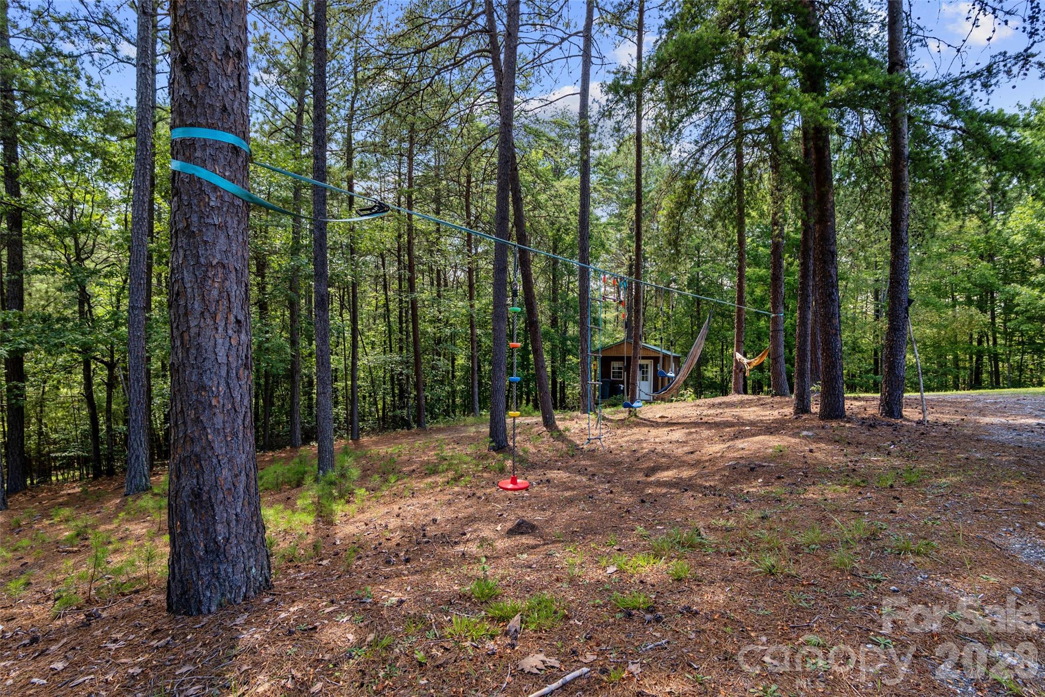 Single Family Residence at 4551 Lake Adger Parkway, Mill Spring, photo 30 of 48