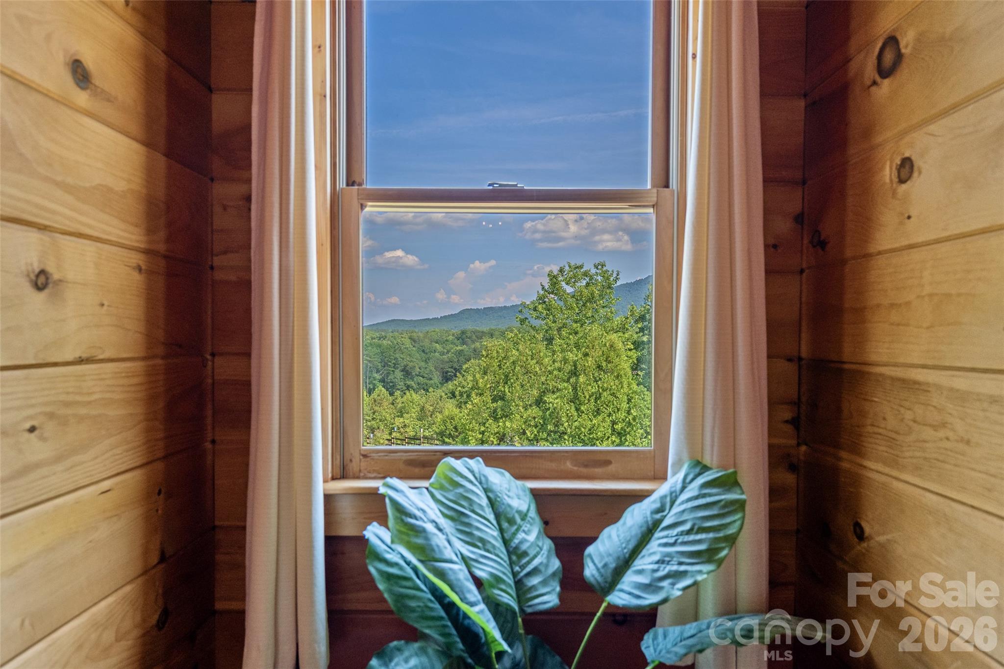 Mountain view from primary suite dormer - 4551 Lake Adger Parkway, Mill Spring