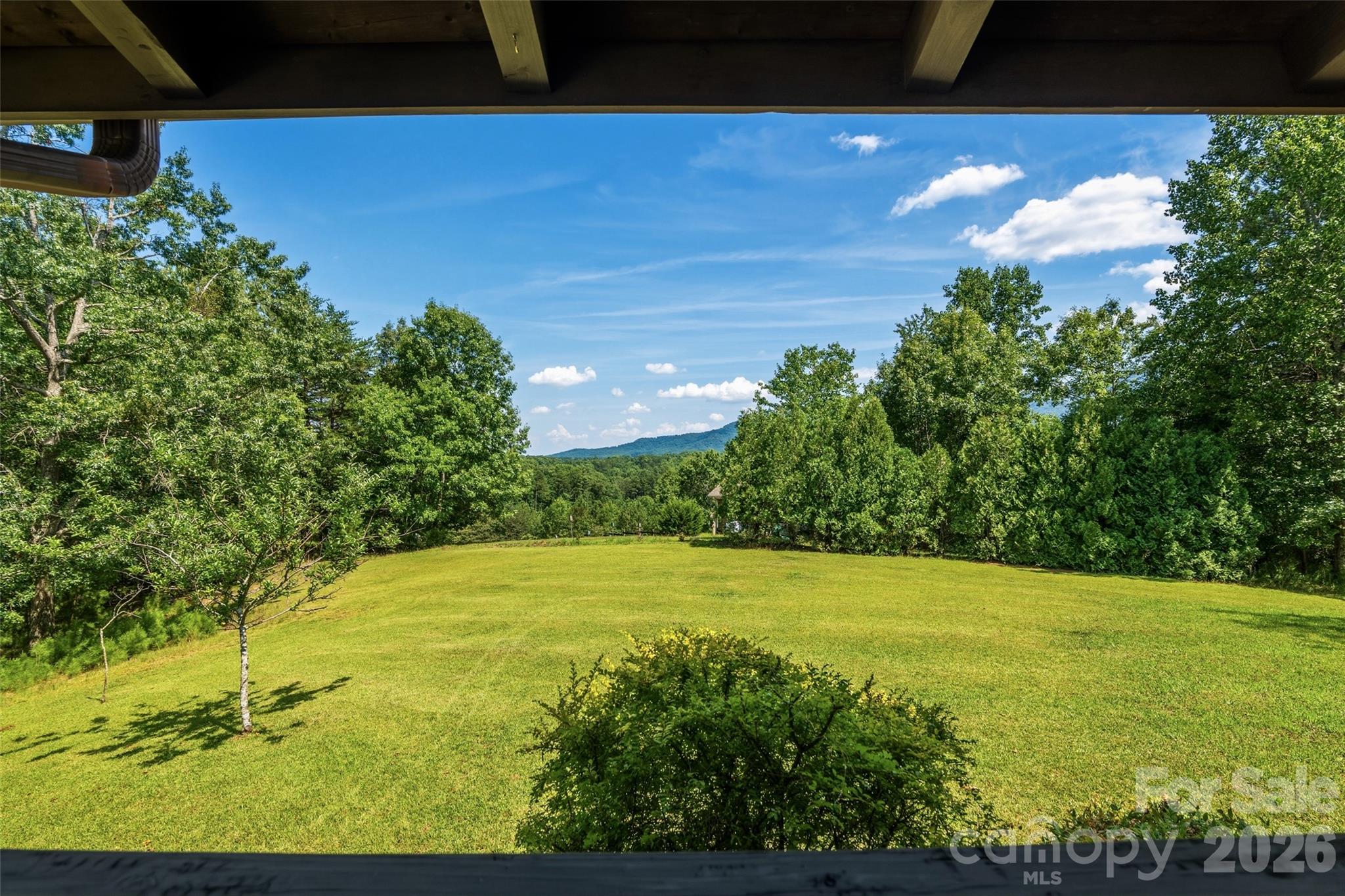 Level front yard for summer entertaining - 4551 Lake Adger Parkway, Mill Spring