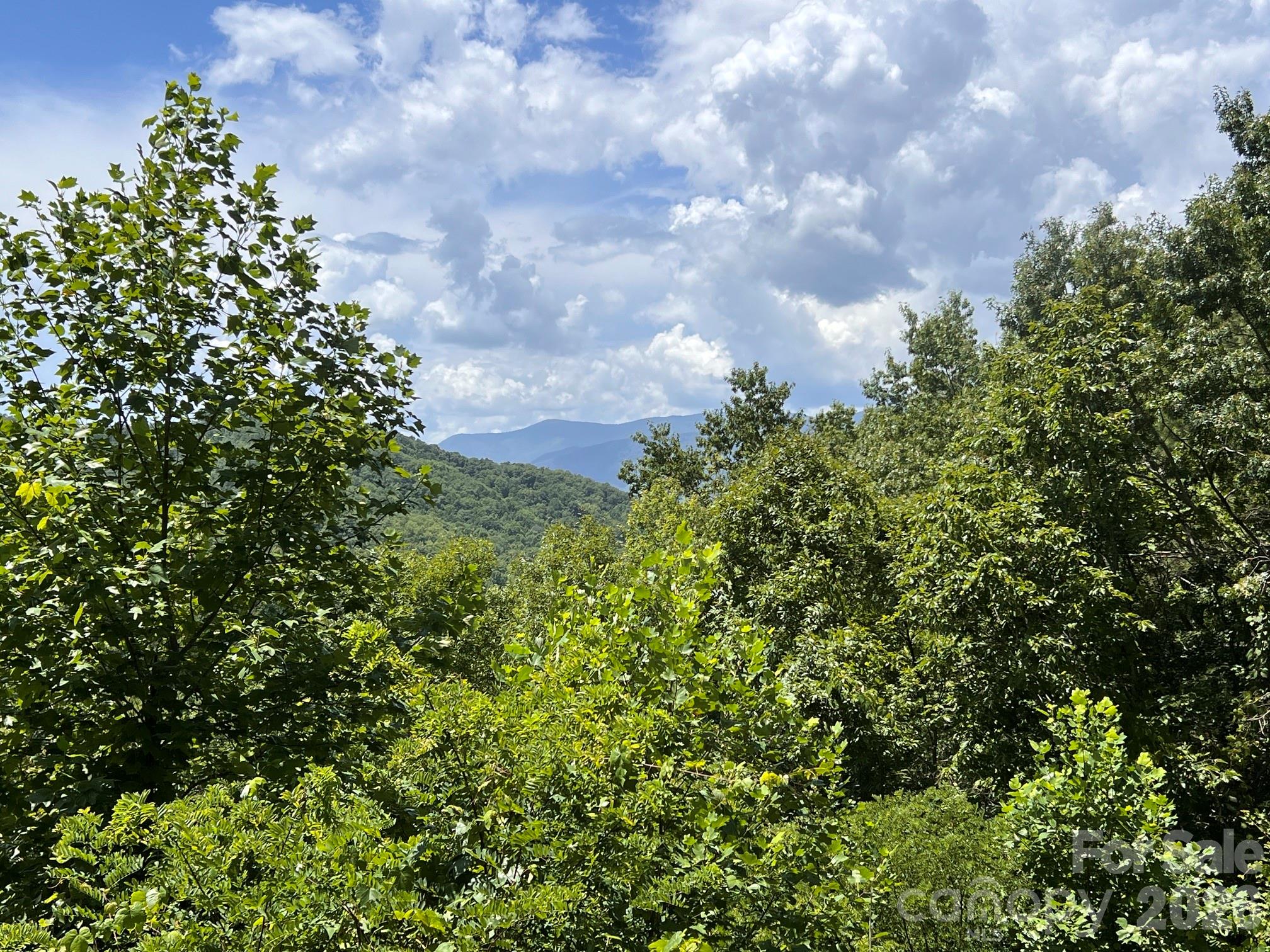 Acreage at Lot 14 Fontana Ridge Road, Bryson City, photo 3 of 7